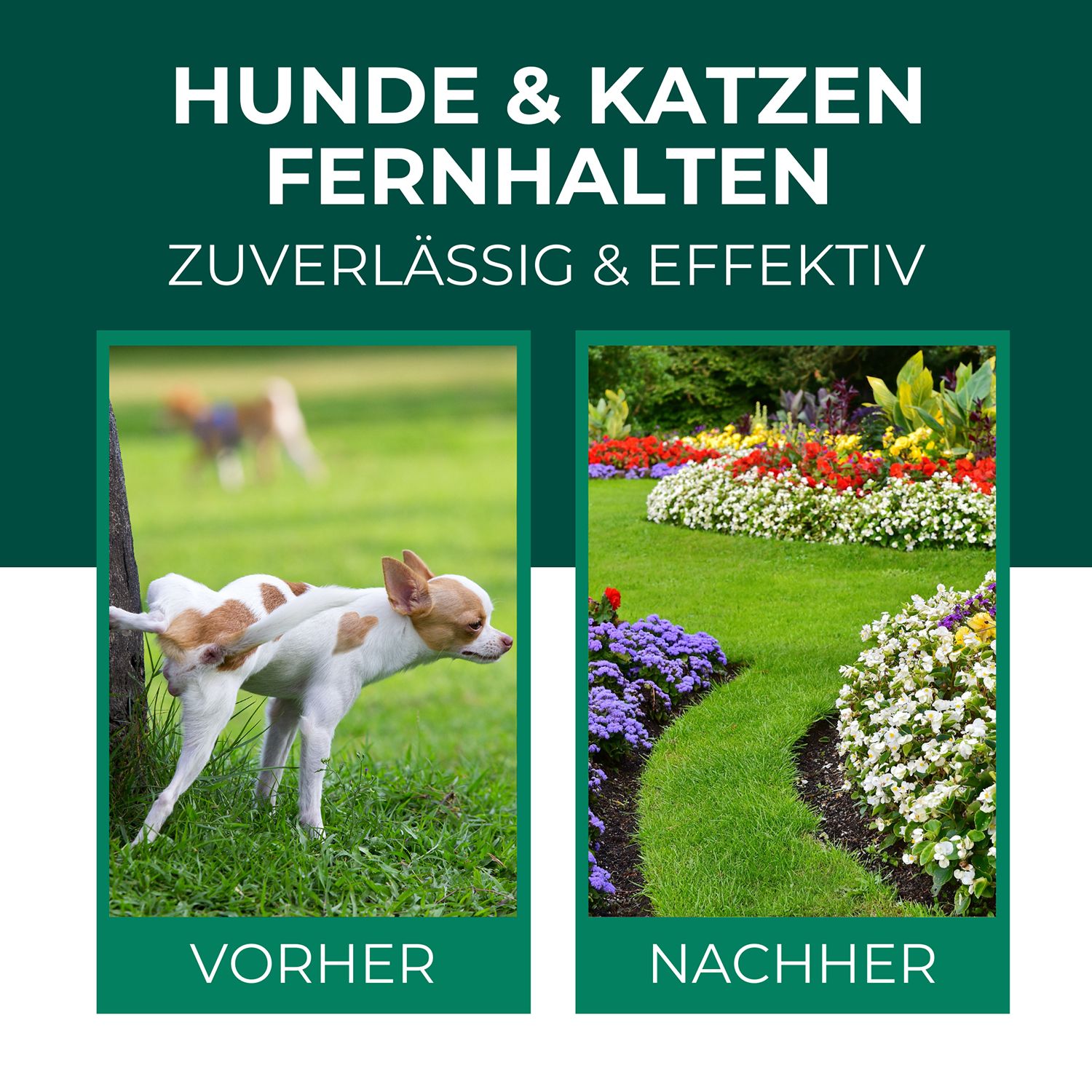 SILBERKRAFT Hunde & Katzen Stopp Ex