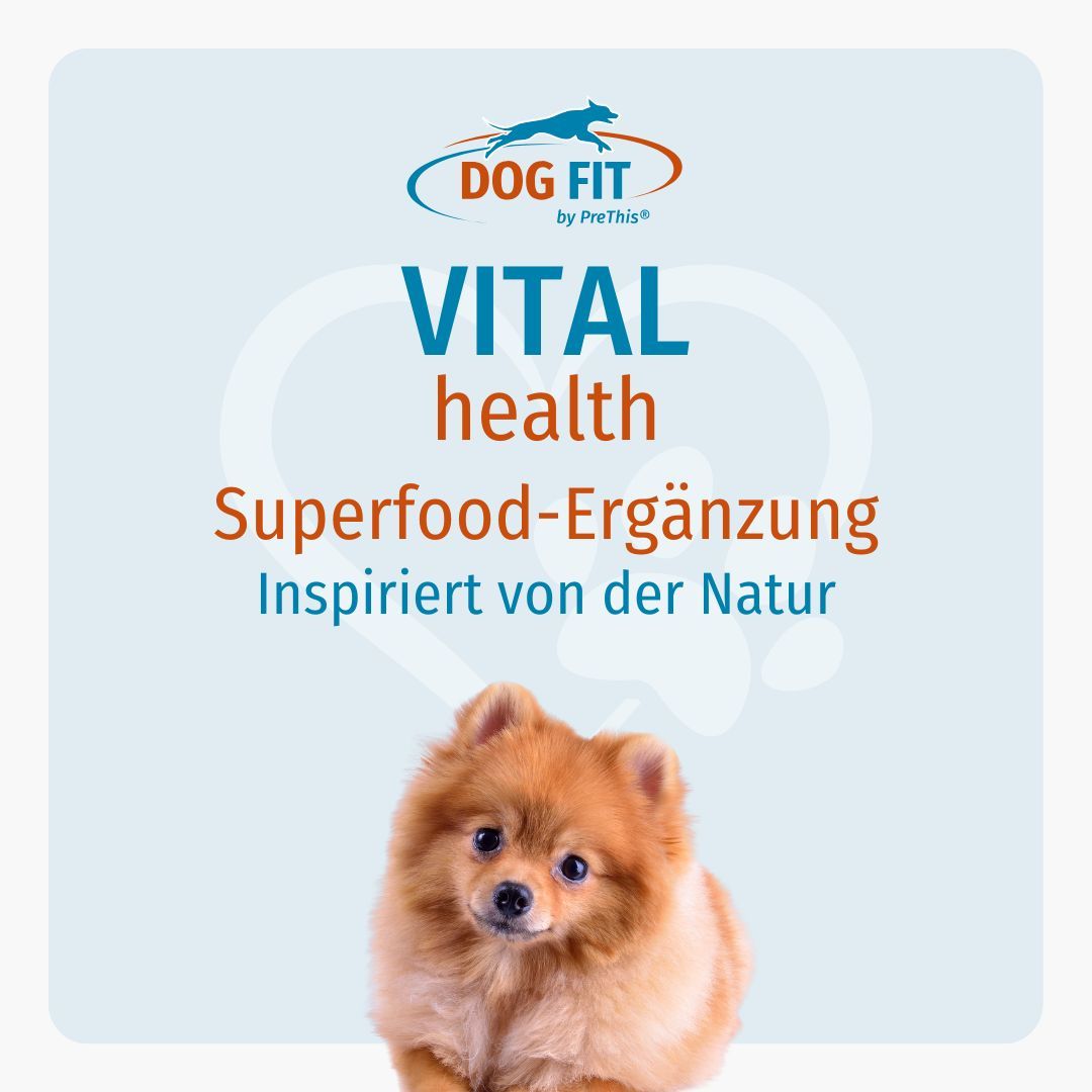 Werbung für DOG FIT by PreThis® VITAL health. Kleiner Hund vor blauem Hintergrund. Text: Vital health Superfood-Ergänzung.