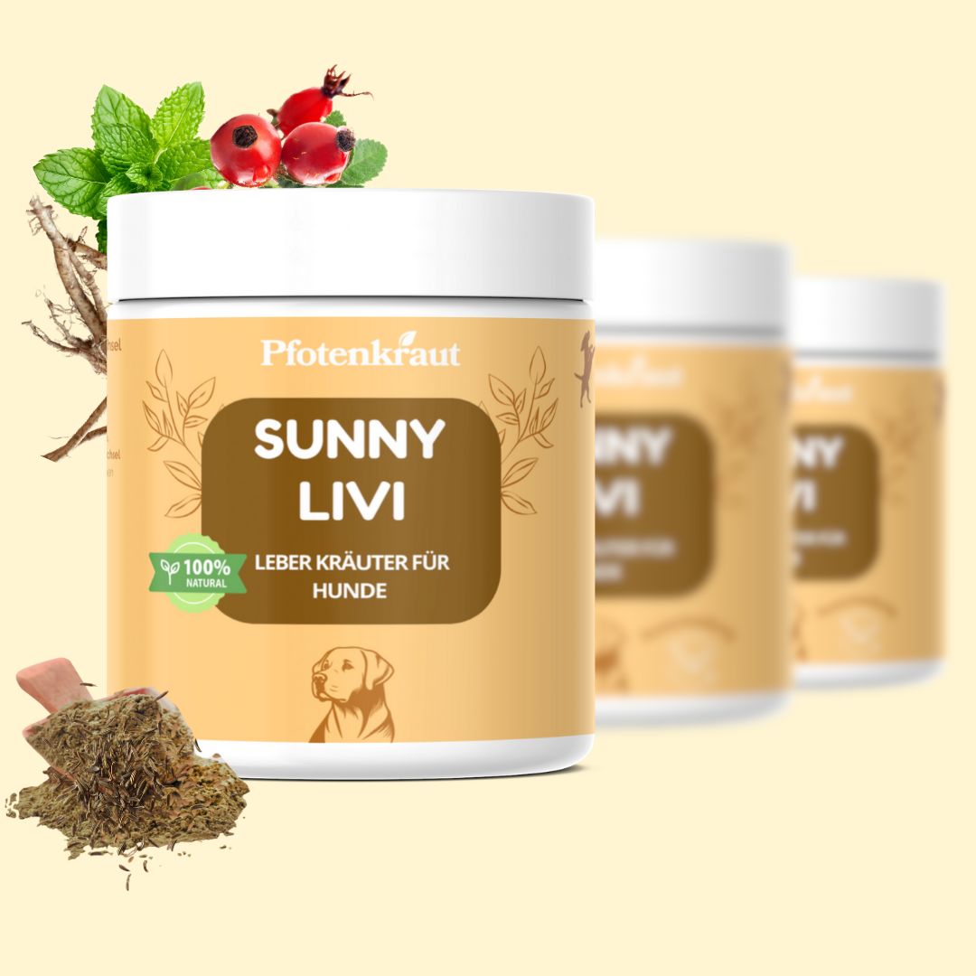 Drei Dosen SUNNY LIVI Leber Kräuter für Hunde. Aufschrift: Pfotenkraut, 100% natural. Abgebildet: Kräuter, Minze, Hagebutten.
