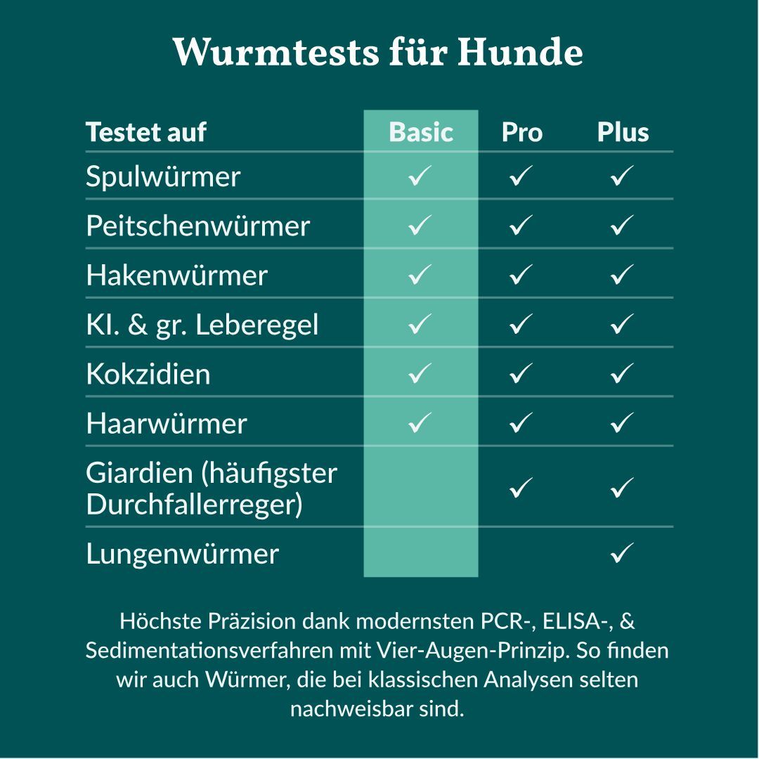 Vergleichstabelle von Wurmtests für Hunde: Basic, Pro, Plus. Getestete Parasiten aufgelistet.