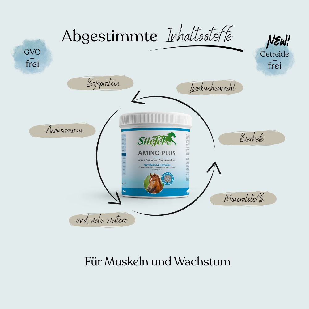 Weißes Produktgebinde mit grünem Etikett. Text: Stiefel Amino Plus. Pfeile zeigen auf Inhaltsstoffe: Sojaprotein, Bierhefe, Leinkuchenmehl, Mineralstoffe, Aminosäuren.
