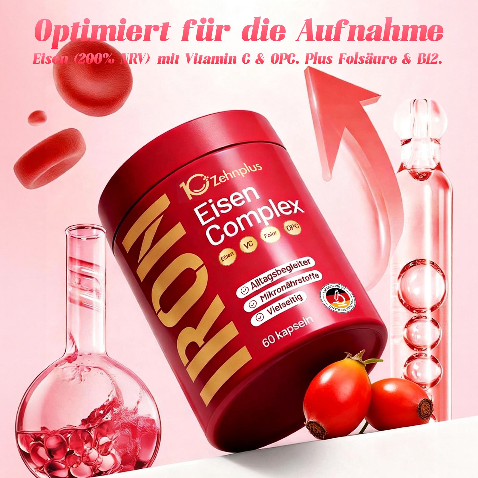 Rote Dose mit "zehnplus Eisen Complex" Aufschrift, 60 Kapseln. Daneben zwei Hagebutten.