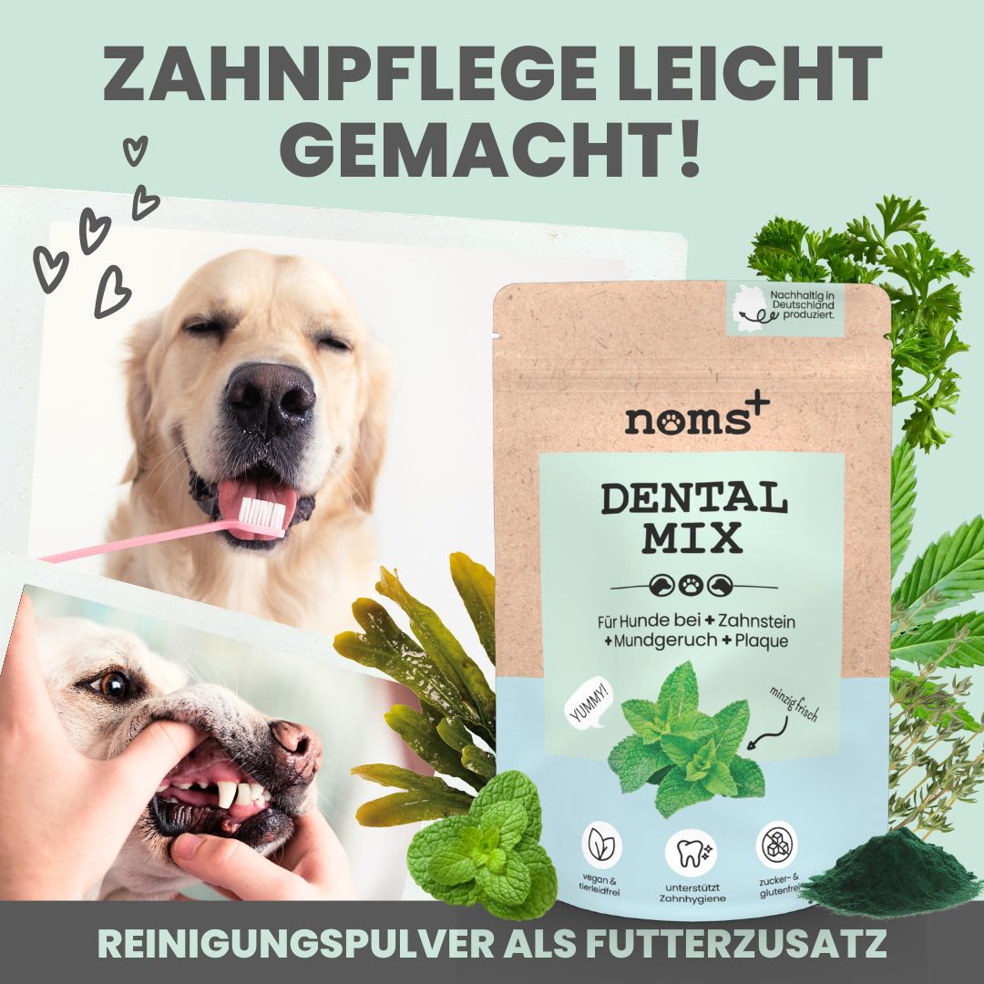 noms+ Dentalmix für Hunde zur Zahnpflege und frischen Atem 150 g Pulver