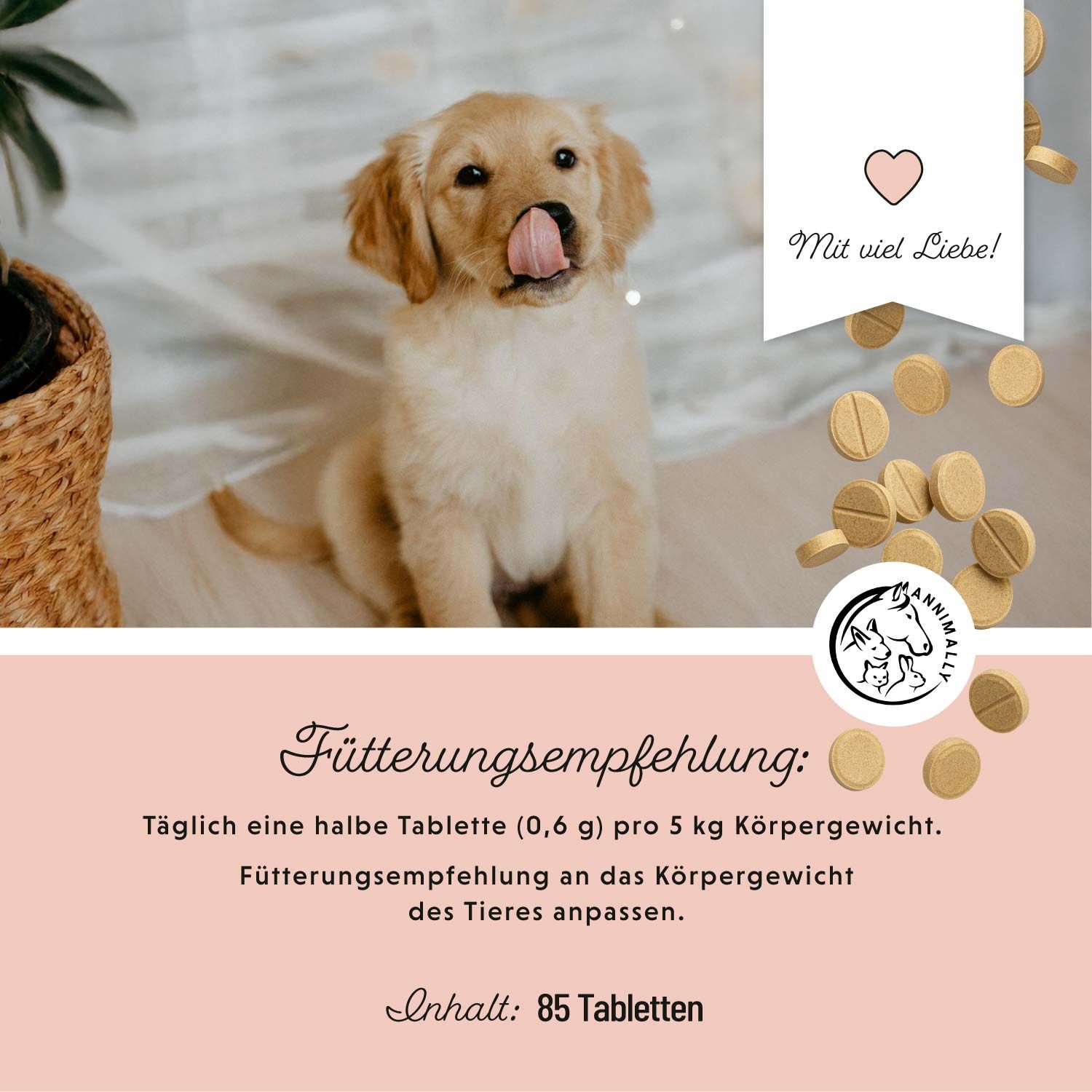 Annimally Dog‘s Daily Junior