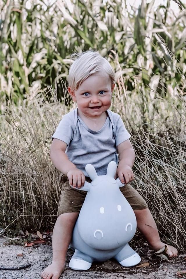 Hüpftier / Hüpfkuh / Hüpfspielzeug - Betsy the Cow für drinnen und ...