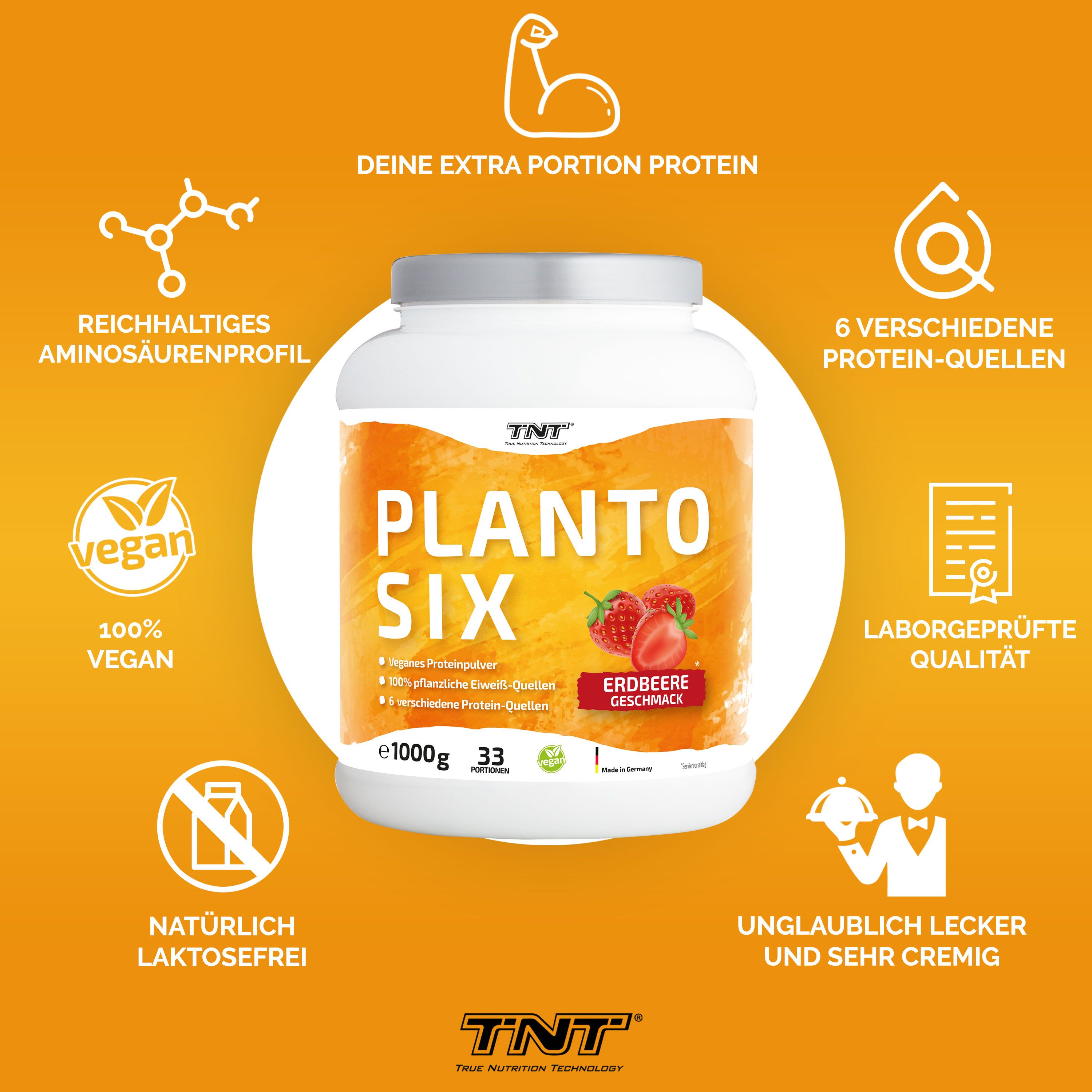 TNT Planto Six