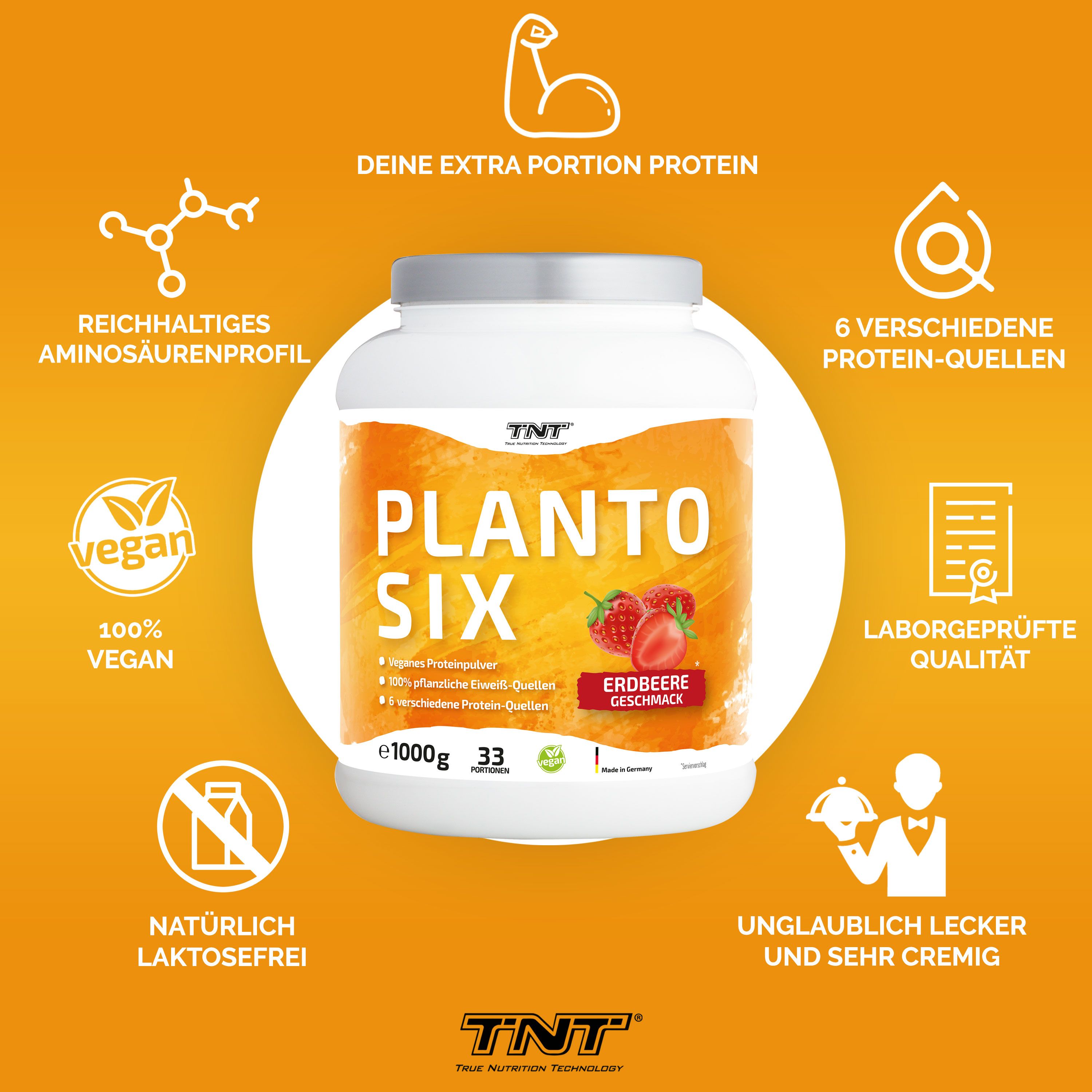 TNT Planto Six 1 kg Pulver