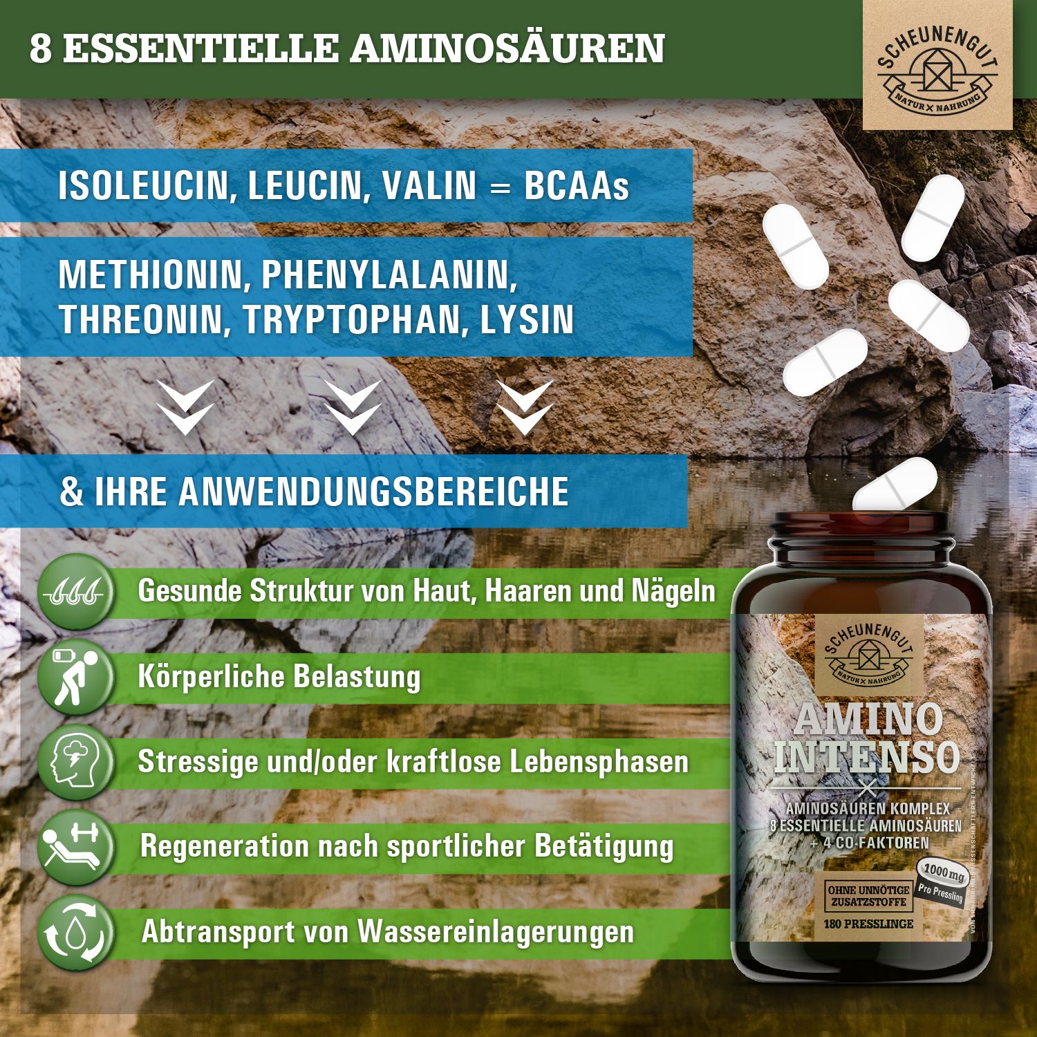 Scheunengut® Amino Intenso | Aminosäuren Komplex EEAs inkl. BCAAs