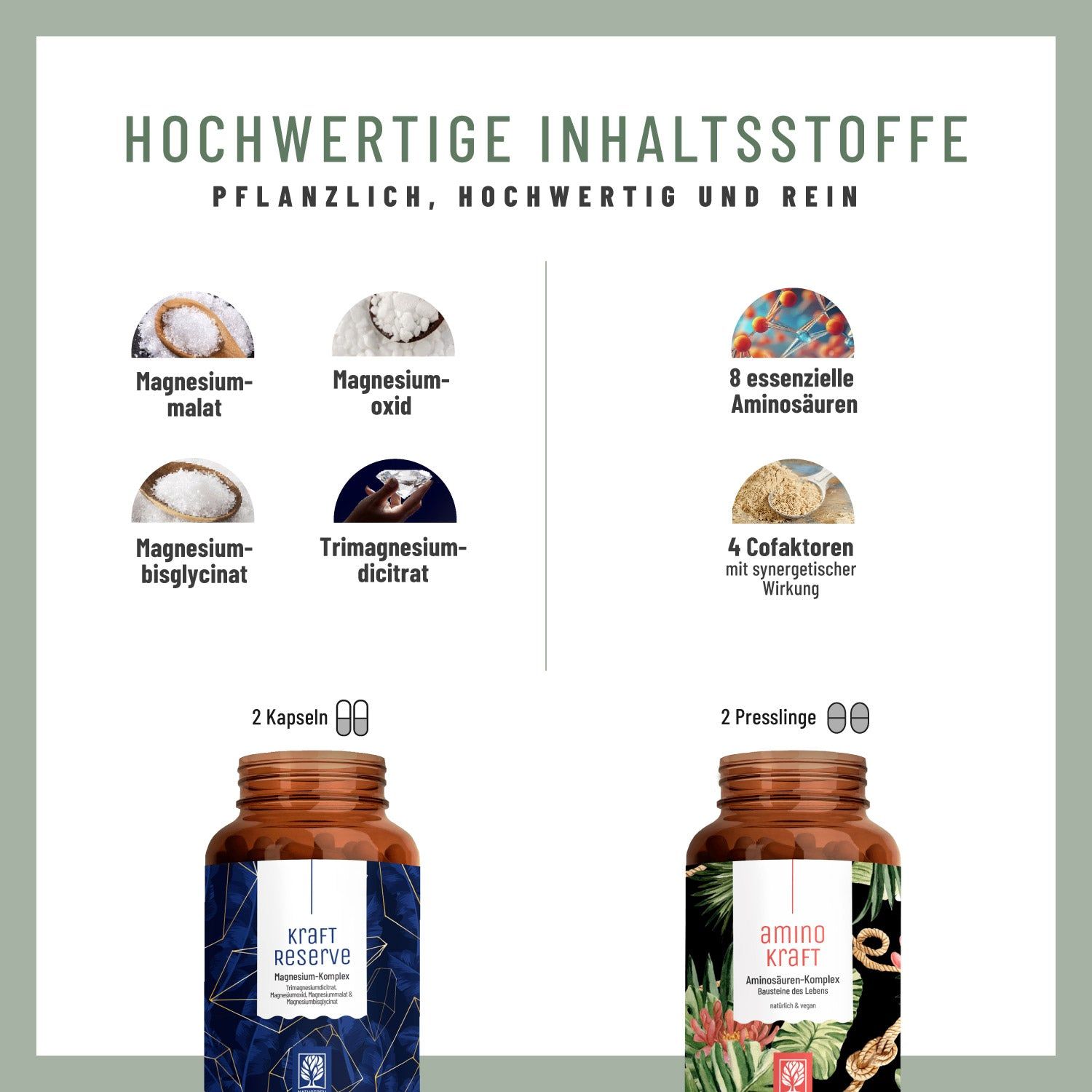 Grafik mit Inhaltsstoffen. Magnesiummalat, -oxid, -bisglycinat, -dicitrat. Aminosäuren und Cofaktoren. Zwei Kapseln oder Presslinge.