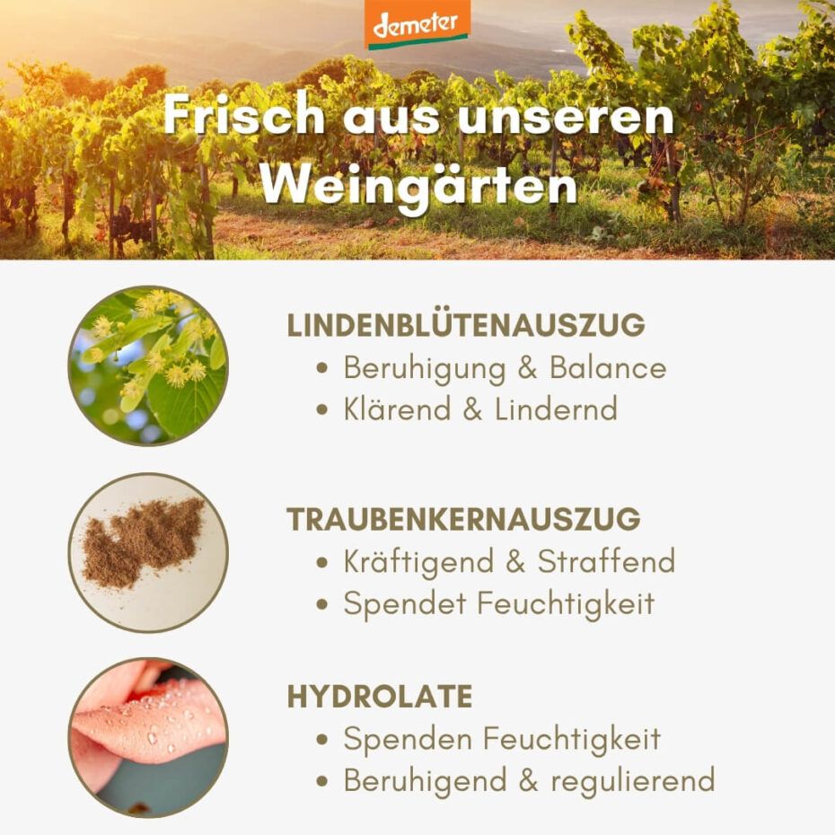 Text mit Inhaltsstoffen und Eigenschaften. Lindenblütenauszug, Traubenkernauszug, Hydrolate. Demeter-Logo. Hintergrund: Weinberge.
