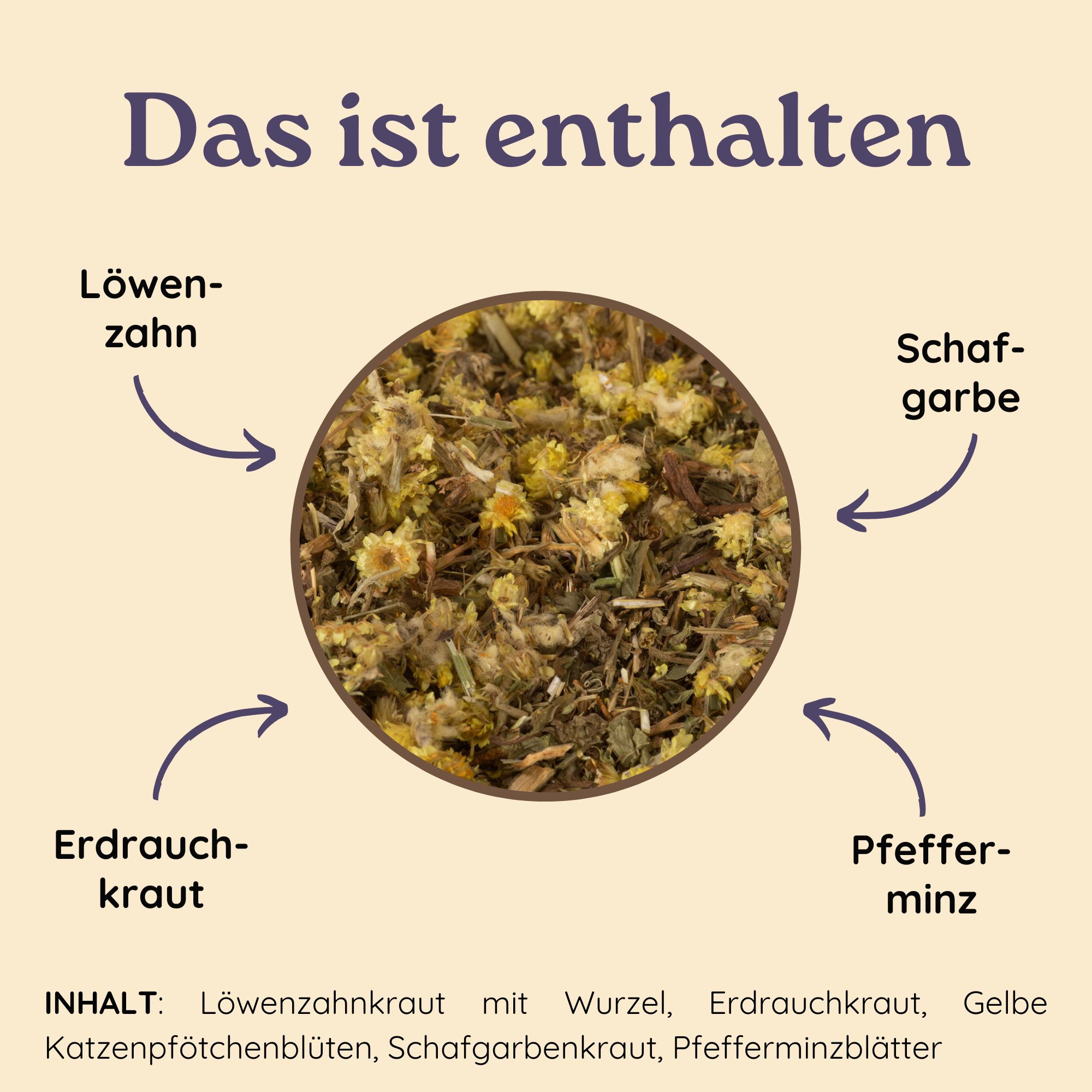 Schlosskräuter Lebertee mit Löwenzahn & Schafgarbe | Leber und Galle Tee | 100% natürliche Zutaten