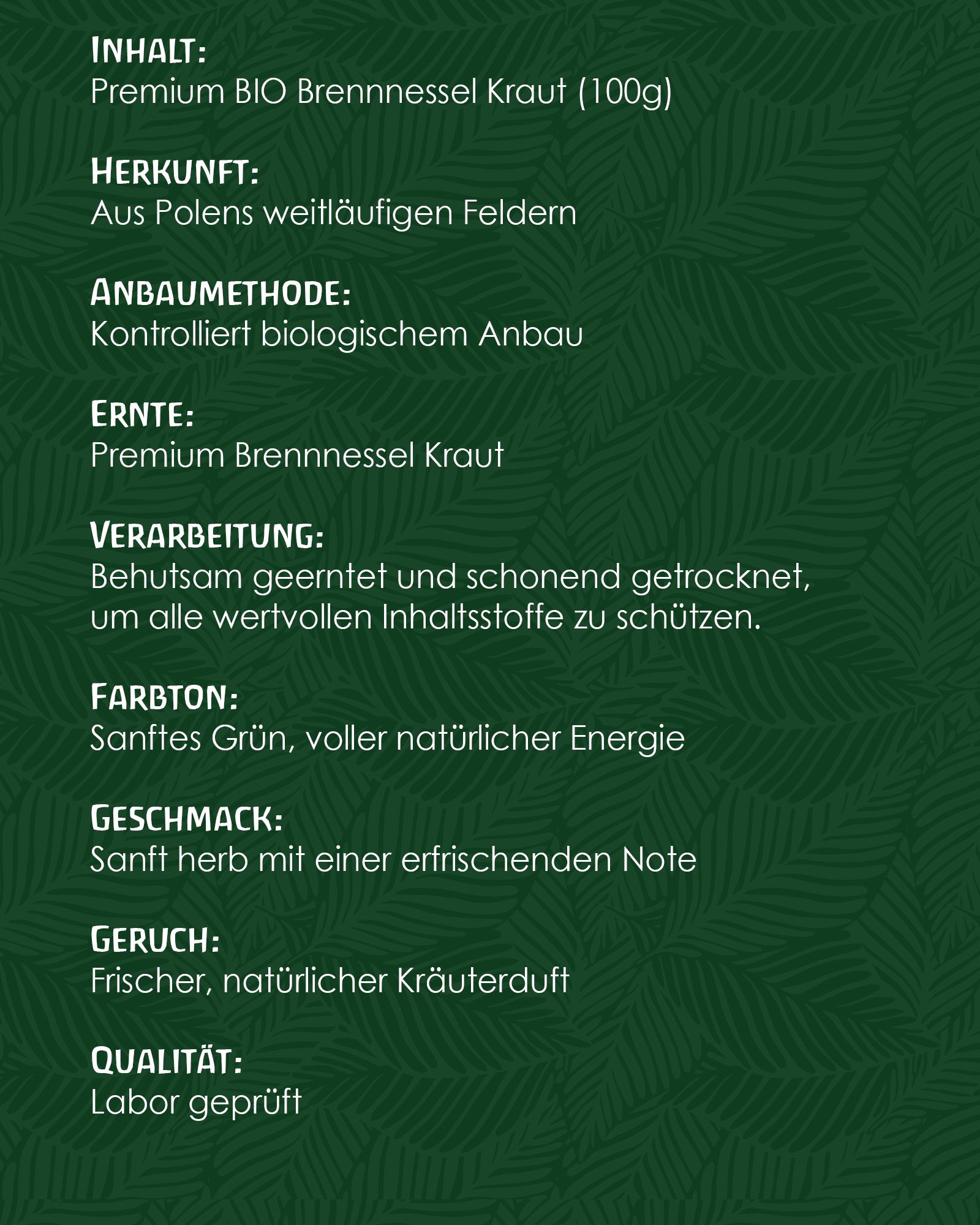 Tausendkraut Brennnessel Kraut BIO