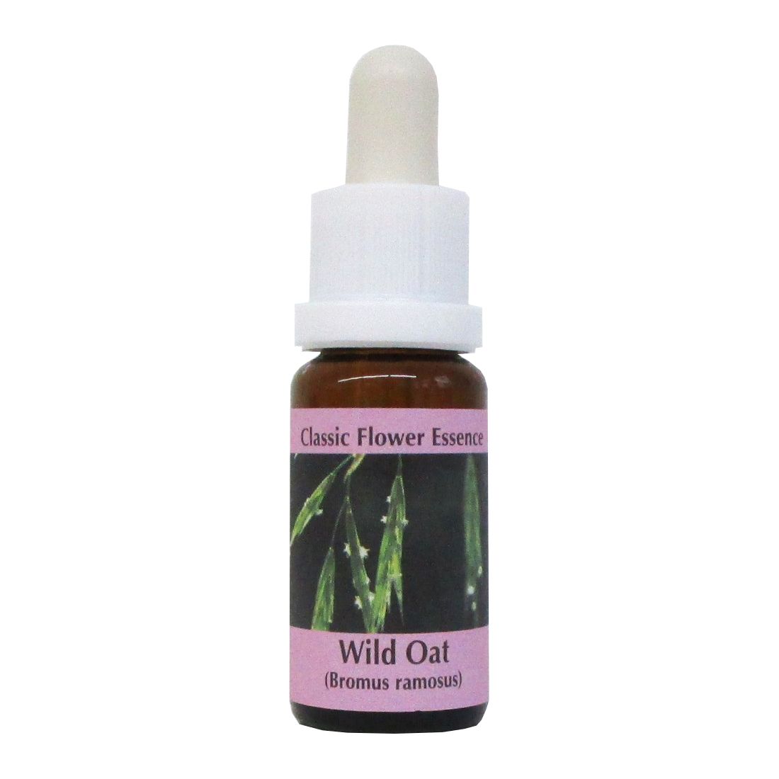 Braune Glasflasche mit weißem Verschluss und Pipette. Etikett mit Wild Oat-Aufdruck und Pflanzenabbildung.