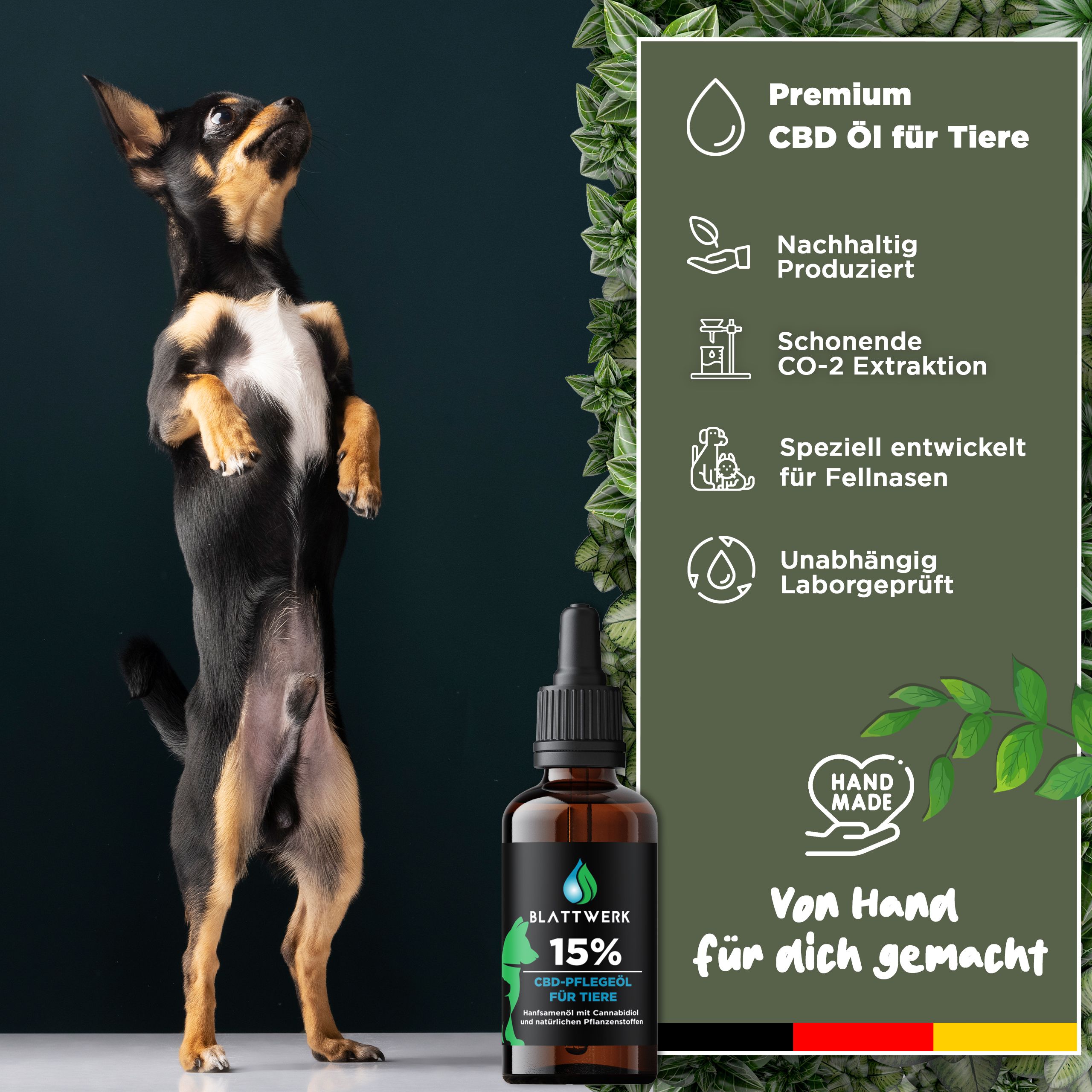 15% CBD Öl für Hunde & Katzen - Deutsche Qualität - CBD Öl Hund - 10ml - 250 CBD Tropfen - BLATTWERK
