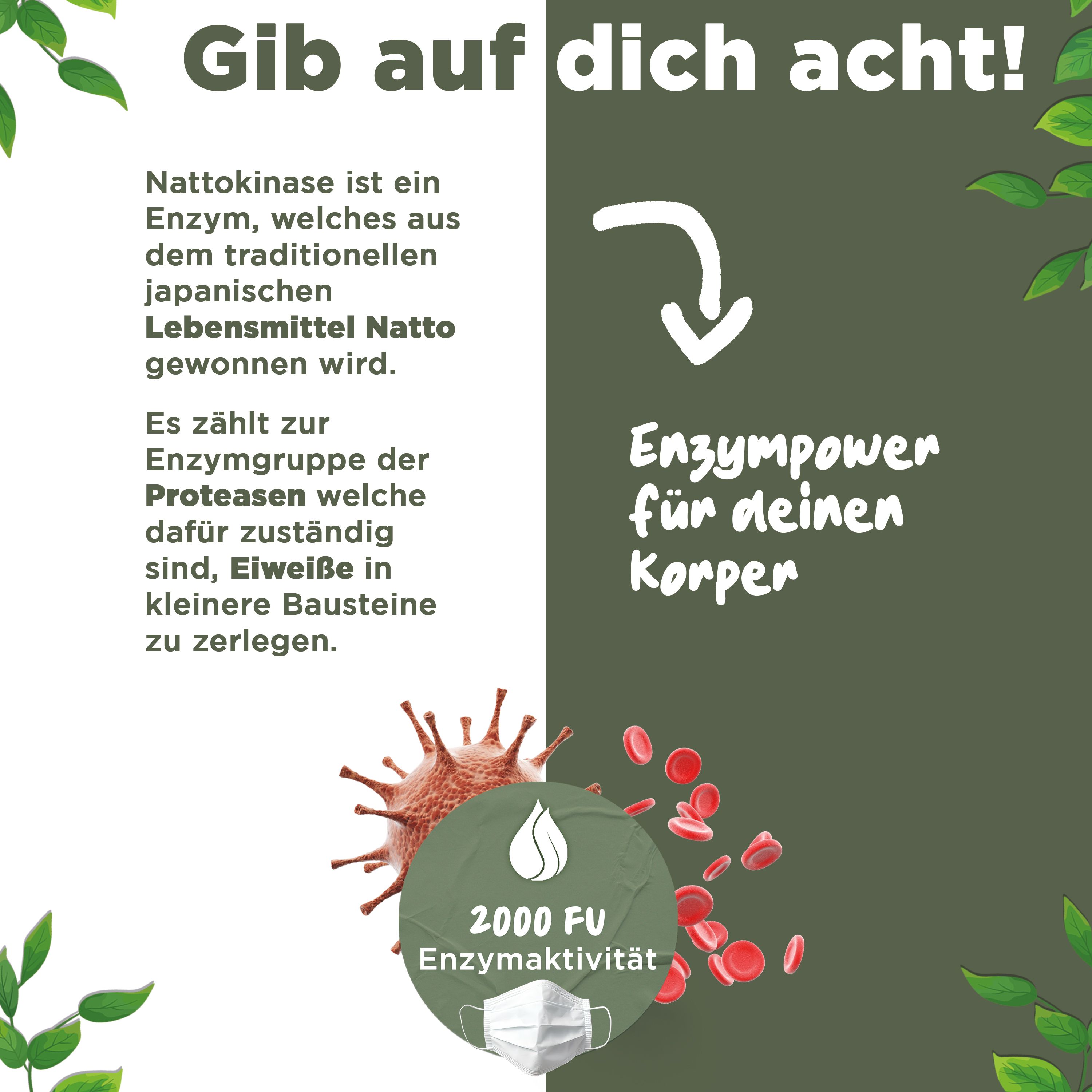 Infografik: Nattokinase ist ein Enzym aus Natto. Enzympower für den Körper. 2000 FU Enzymaktivität.