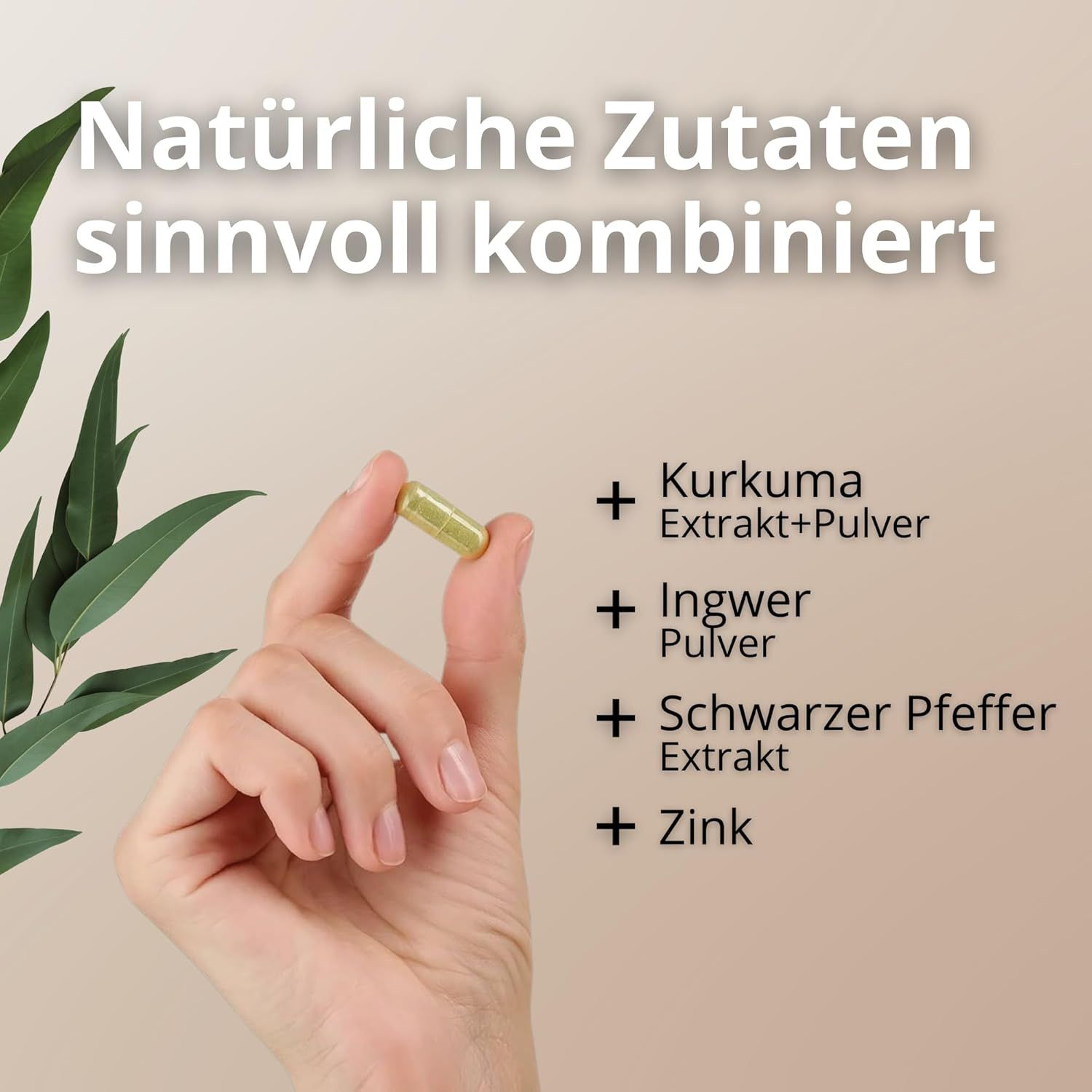 Hand hält eine grüne Kapsel. Text: Kurkuma Extrakt+Pulver, Ingwer Pulver, Schwarzer Pfeffer Extrakt, Zink.