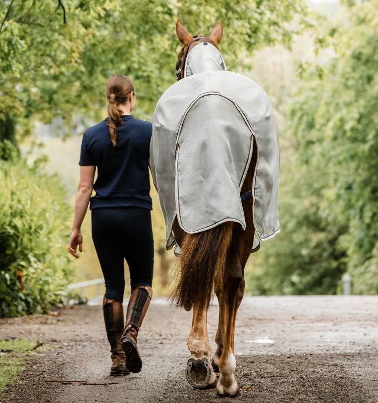 Horseware Fliegendecke Rambo Protector Integrated