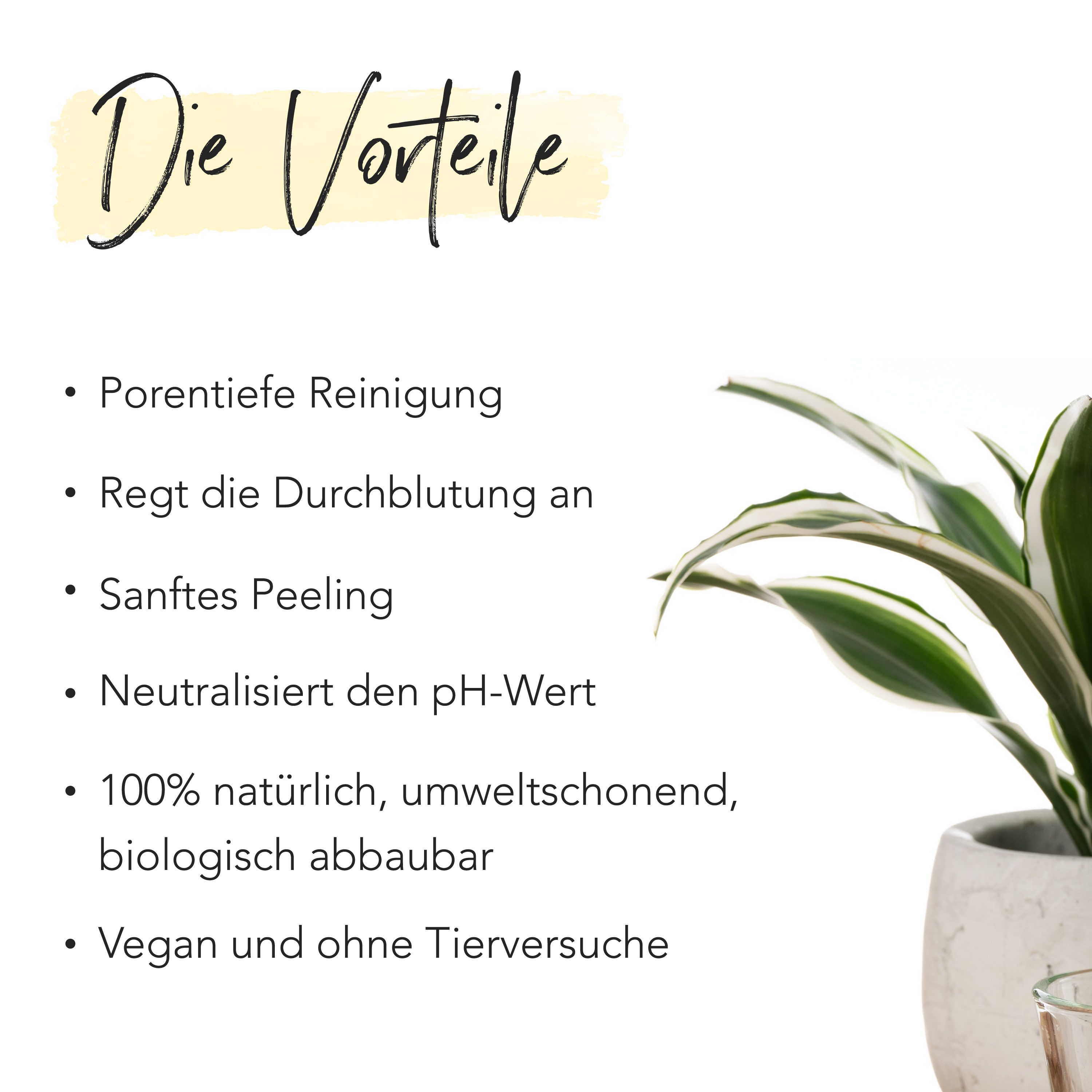 FACES OF FEY Konjac Sponge - gelber Ingwer