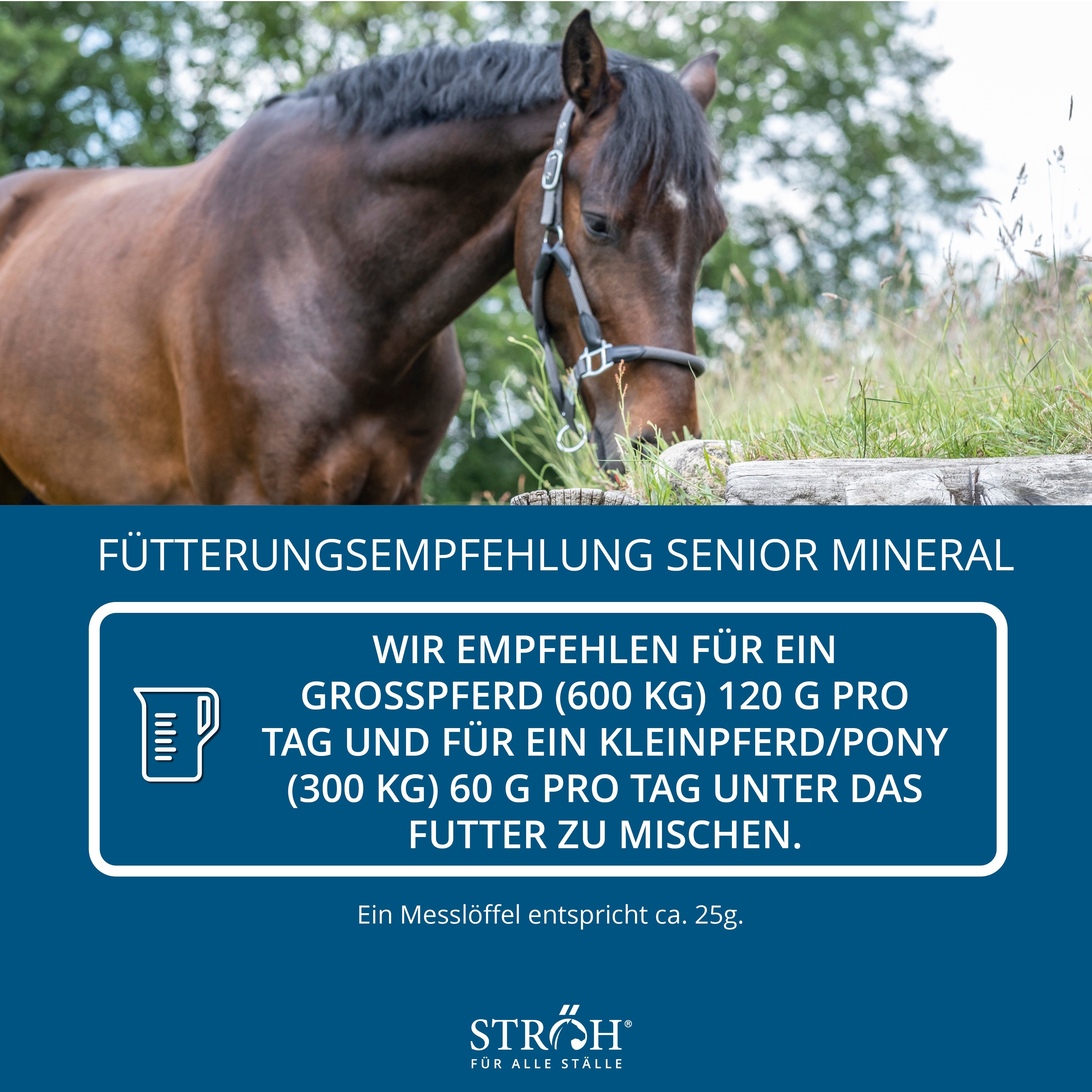 Pferd auf Wiese. Text: Fütterungsempfehlung SENIOR MINERAL. Text: Wir empfehlen... Marke STRÖH.