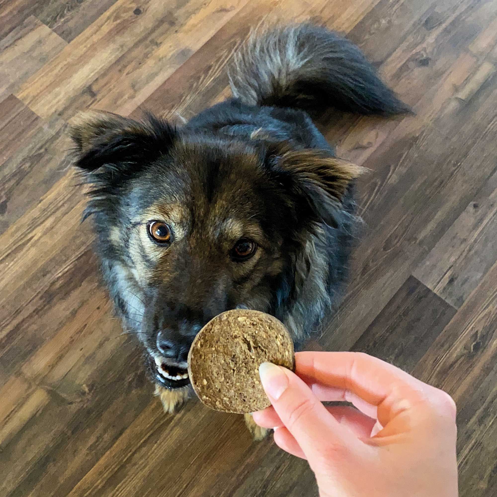 Schecker Hundesnack - krosse fleischige Chips Taler