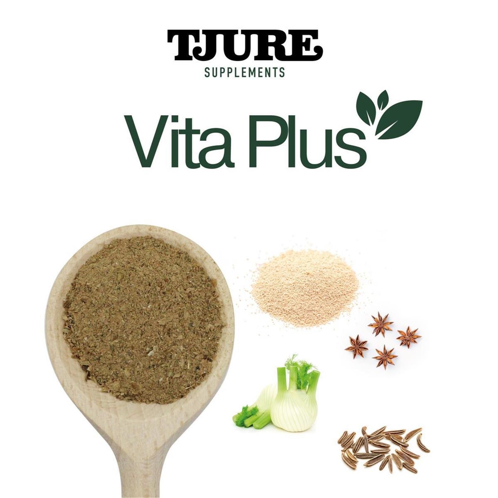 TJURE Vita Plus-Logo mit Kräutern und Zutaten. Löffel mit Pulver, Sternanis, Fenchel und Samen.