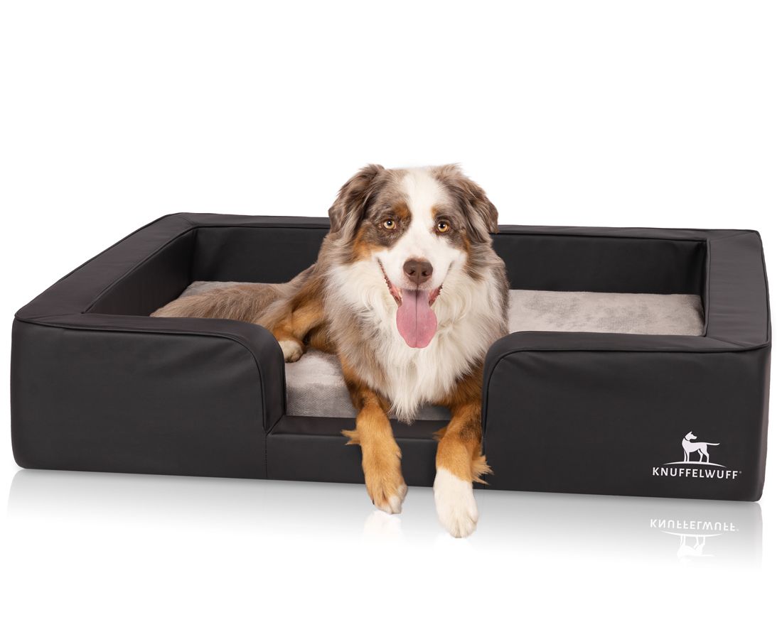 Hund liegt in schwarzem orthopädischen Hundebett. Beige Liegefläche, erhöhter Rand. Logo: Knuffelwuff.