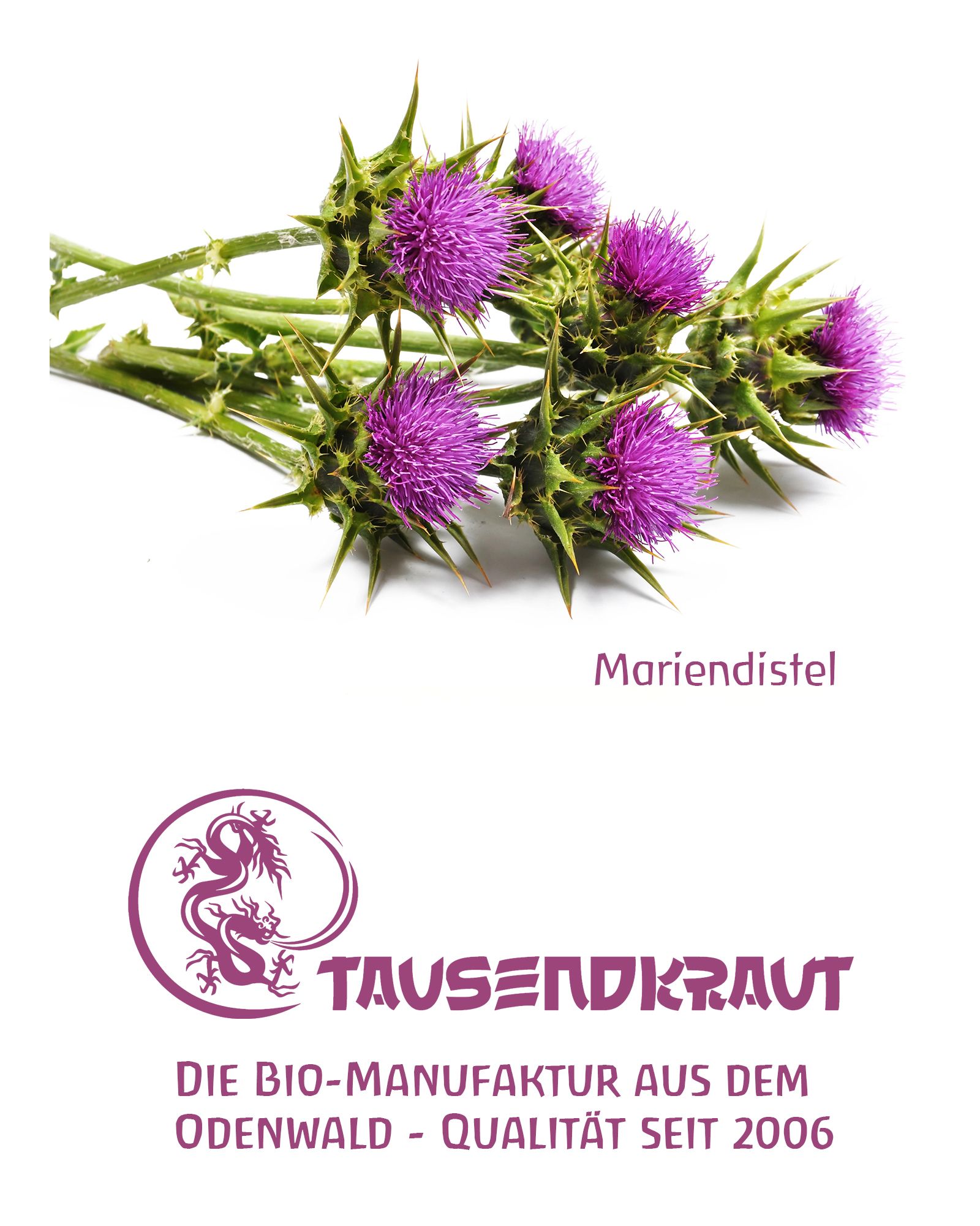 Mariendistelblüten auf weißem Hintergrund. Logo und Schriftzug 'Tausendkraut'. Text: 'Die Bio-Manufaktur aus dem Odenwald'.
