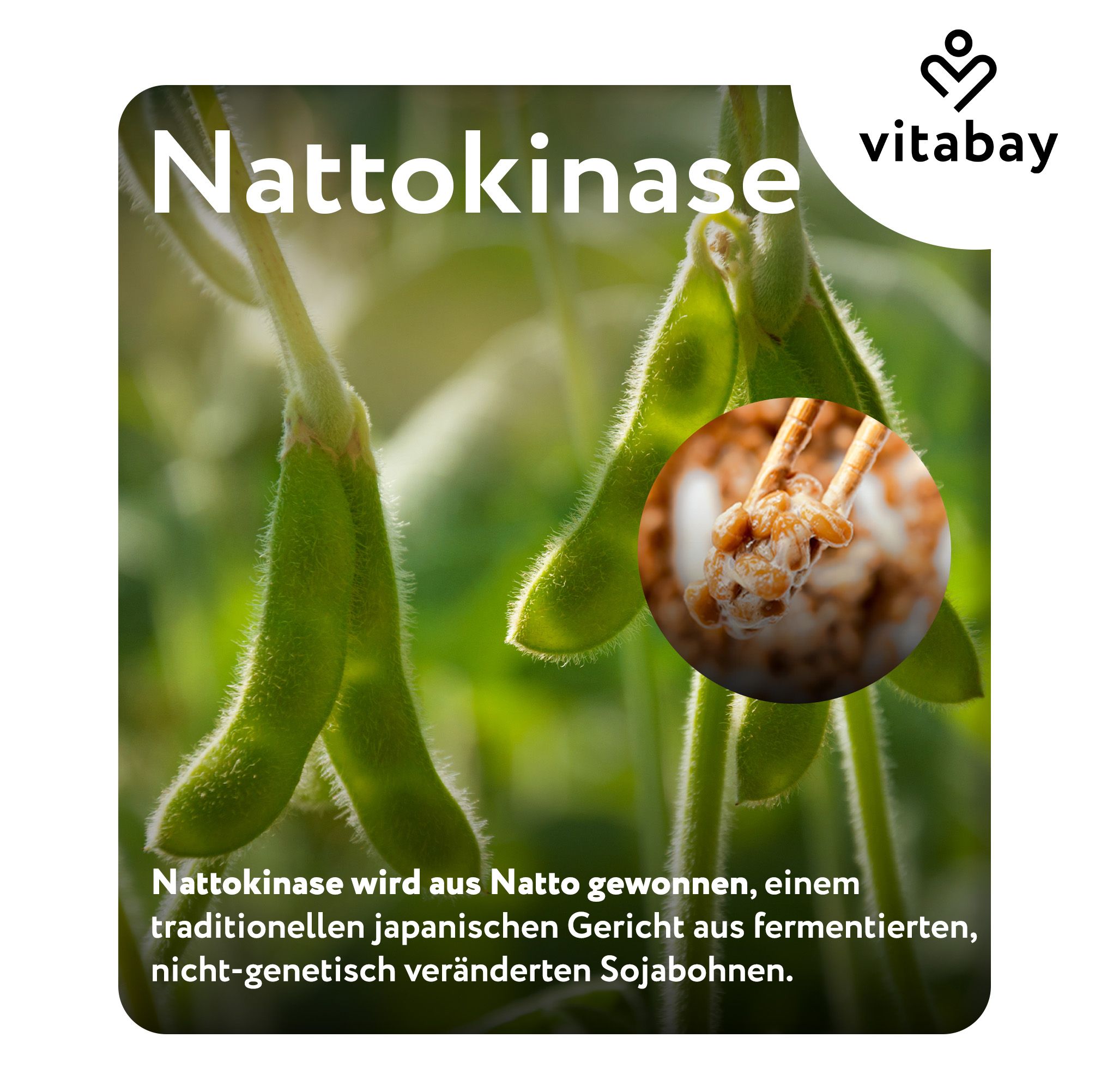 Grüne Sojabohnen und Natto. Text: Nattokinase wird aus Natto gewonnen, einem traditionellen japanischen Gericht aus fermentierten Sojabohnen.