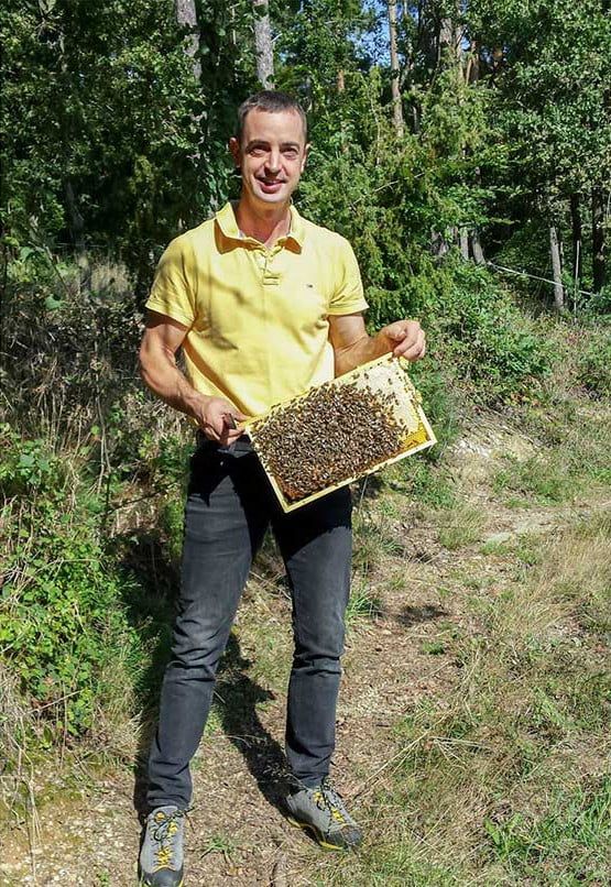 Mann hält Bienenwabe mit Bienen. Gelbes Polohemd, schwarze Jeans. Wald im Hintergrund.