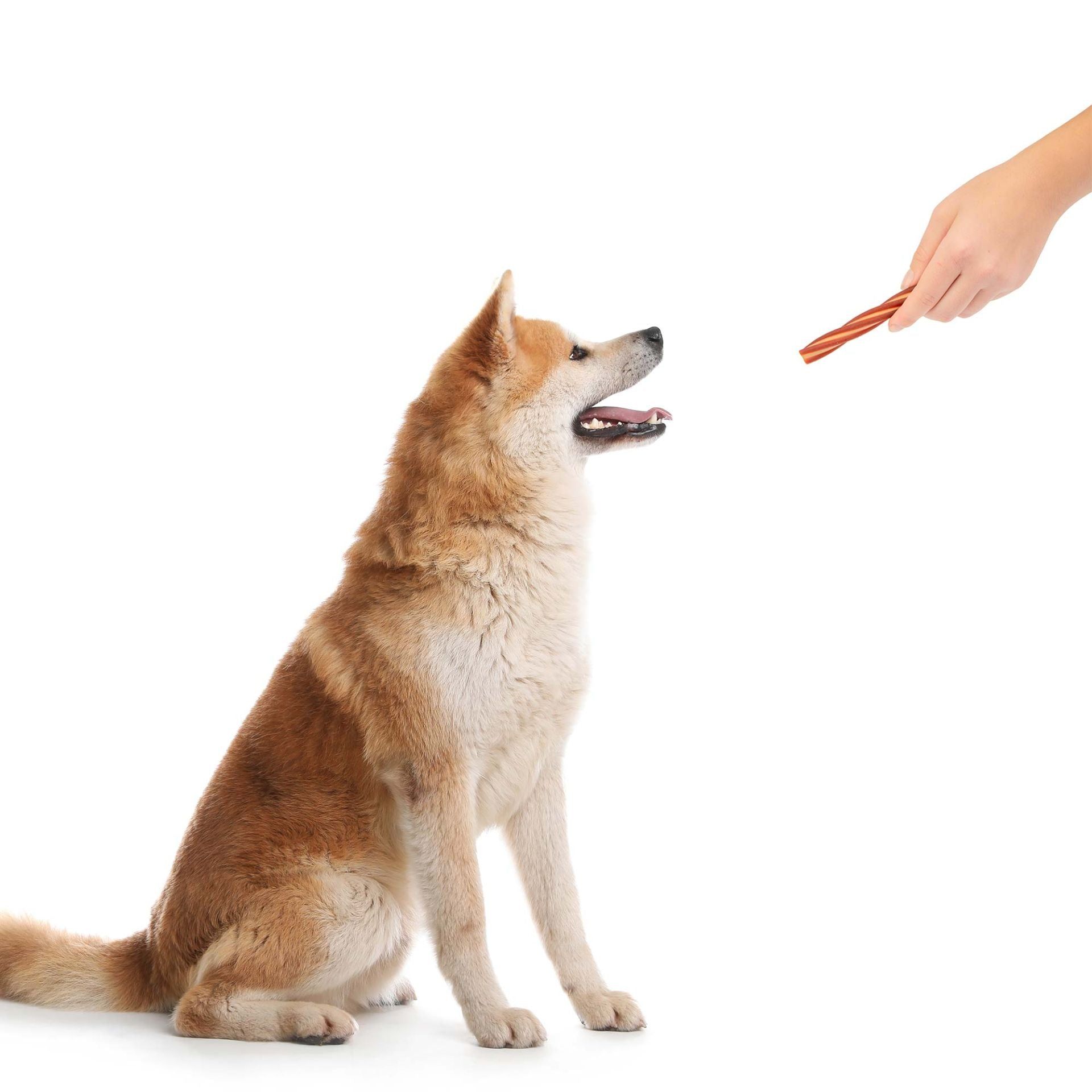 emmi-pet Dental Sticks “Teeth Polisher”