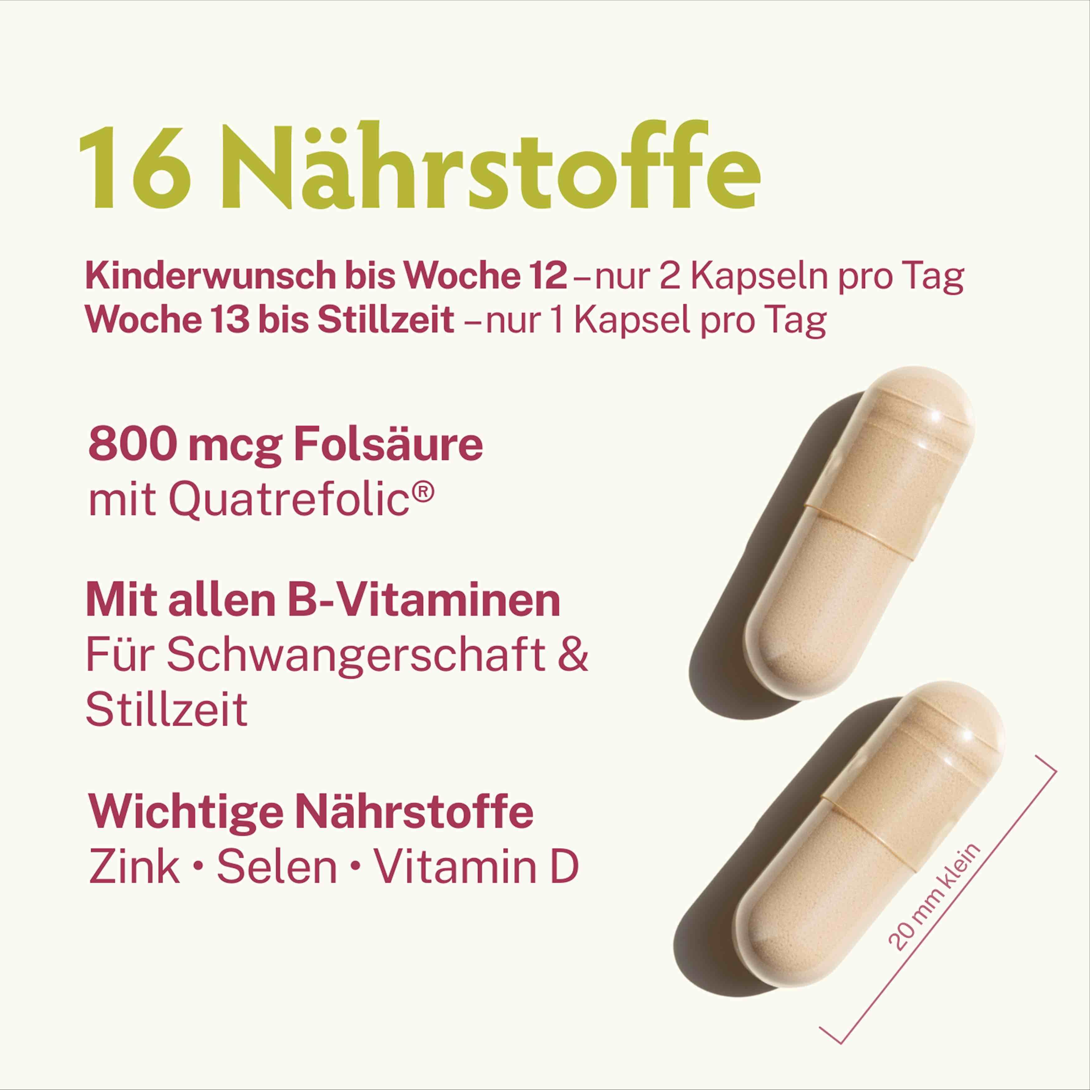 Zwei Kapseln, 20 mm lang. Text: 16 Nährstoffe. 800 mcg Folsäure mit Quatrefolic. Mit B-Vitaminen. Zink, Selen, Vitamin D.