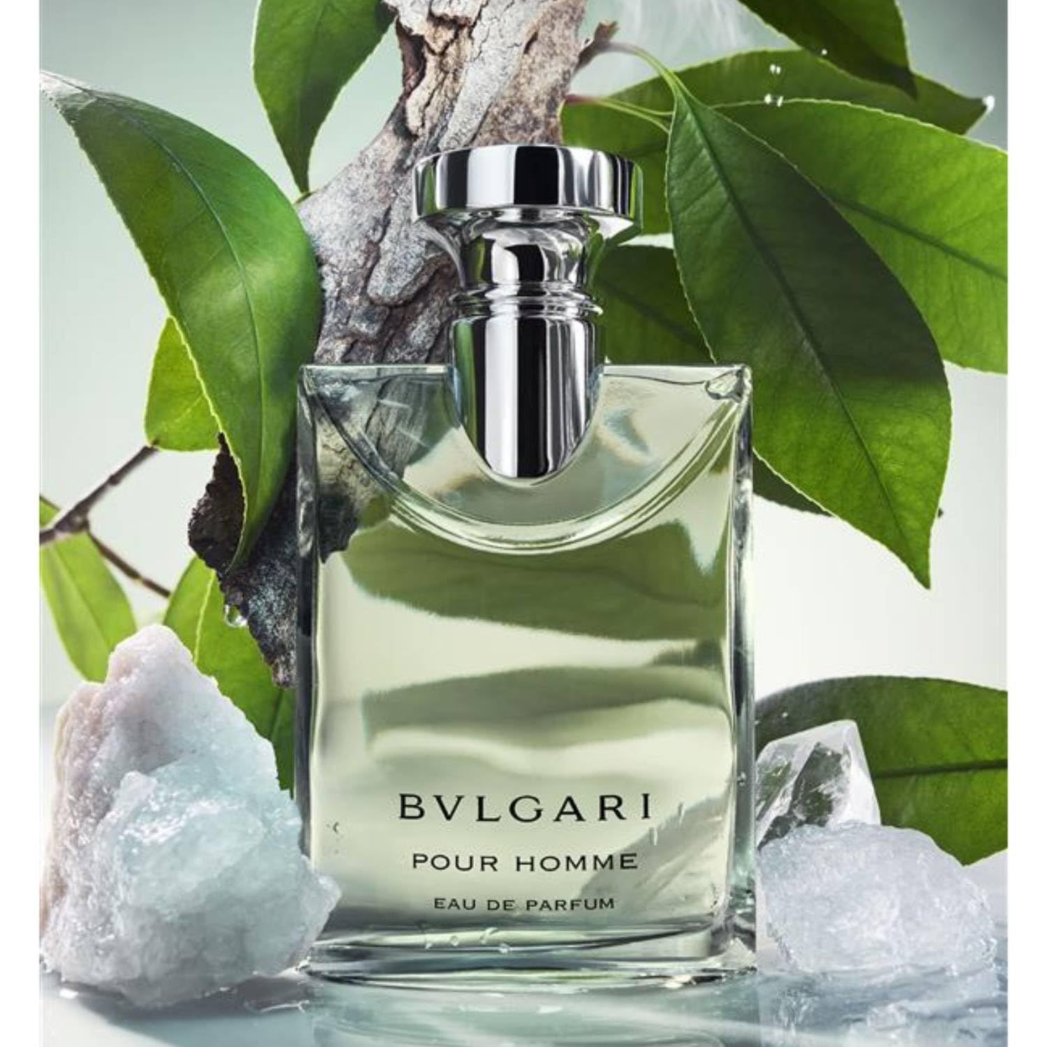 Glasflakon mit silbernem Verschluss. Aufschrift: BVLGARI POUR HOMME EAU DE PARFUM. Umgeben von Blättern, Steinen und Ästen.