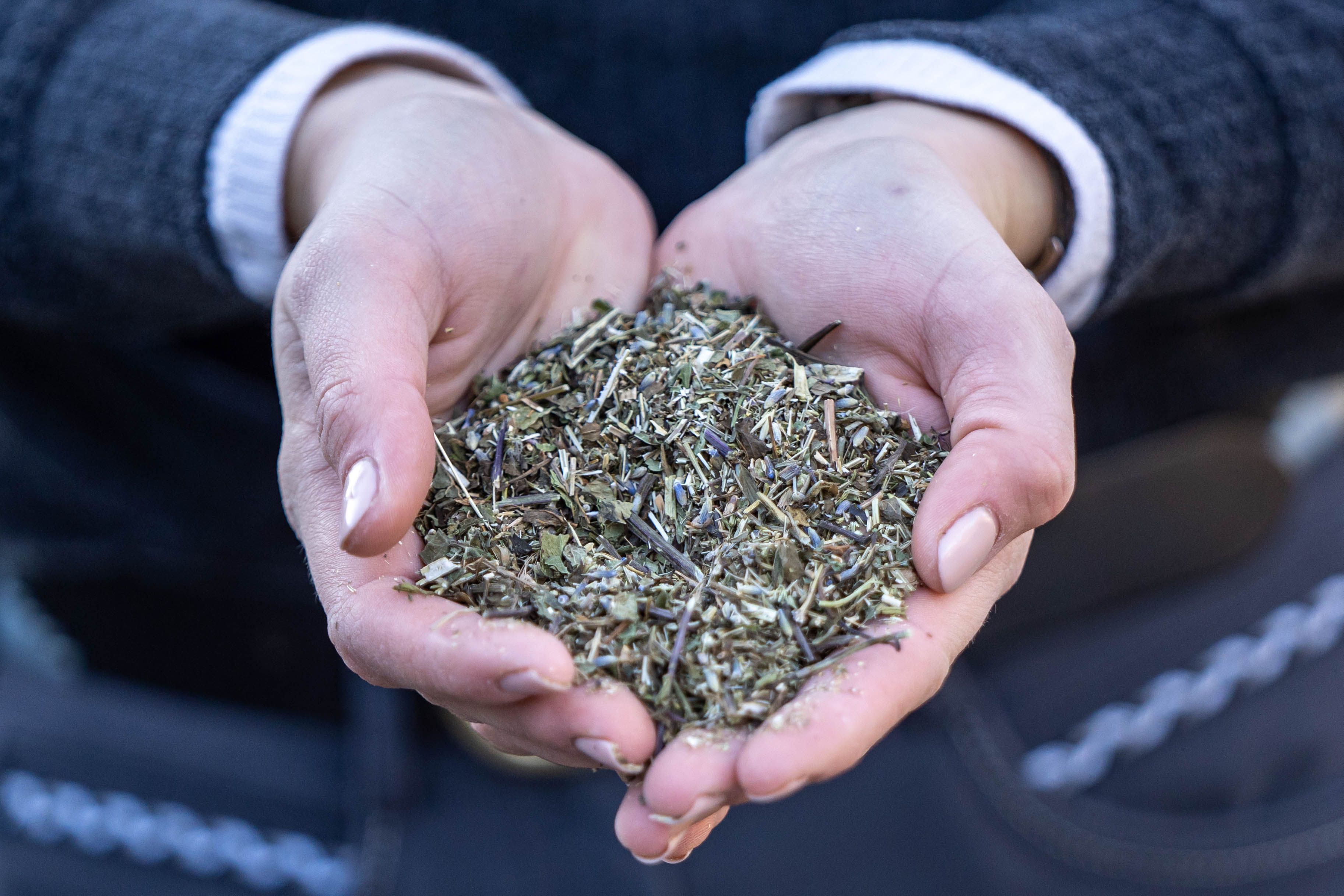 Hände halten eine Portion getrockneter Kräuter. Die Kräuter sind grün und braun. Keine Verpackung sichtbar. Hände mit hellen Nägeln.