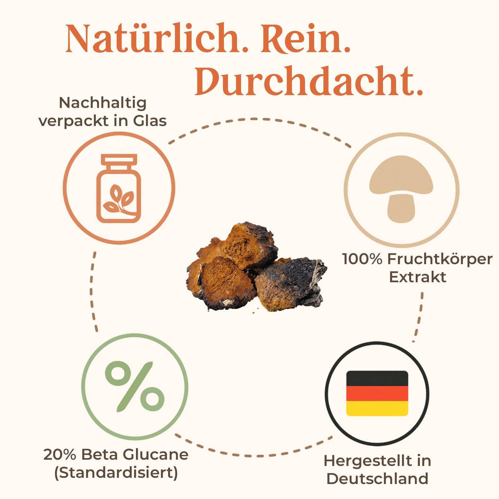 Grafik mit Informationen zu SHROOMY Chaga Kapseln. 20% Beta Glucane, 100% Fruchtextrakt, hergestellt in Deutschland, nachhaltig verpackt.