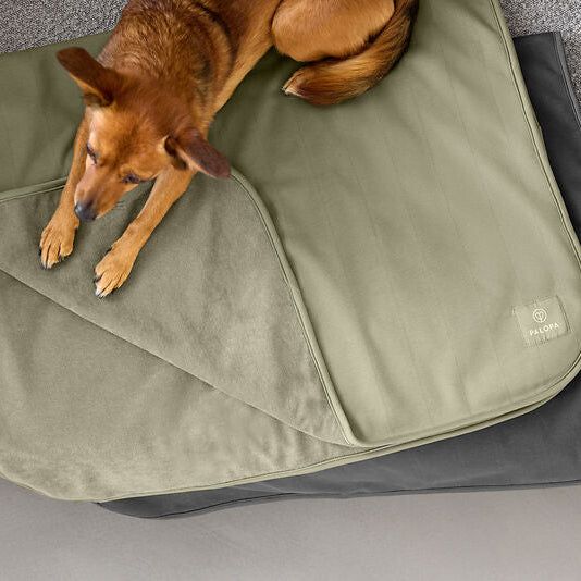 Palopa Hundedecke Schutzmatte Benti Olive