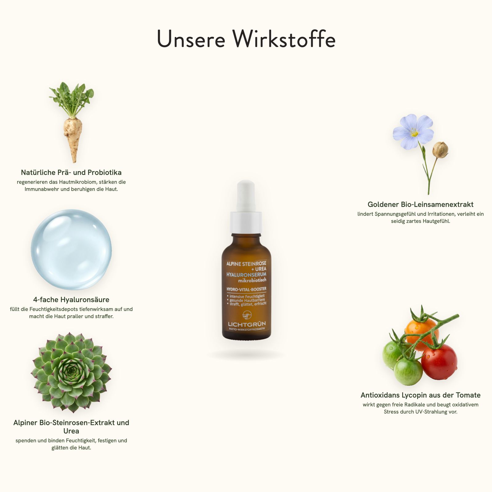 Eine Flasche Hydro-Booster umgeben von Darstellungen seiner Wirkstoffe: Karotte, Hyaluronsäure, Rosmarin.