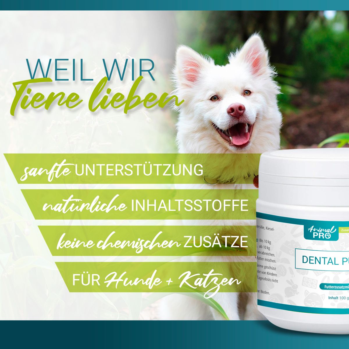 Weißer Hund neben Dose Animal Pro Dental Pulver. Text: Sanfte Unterstützung, natürliche Inhaltsstoffe, keine chemischen Zusätze.