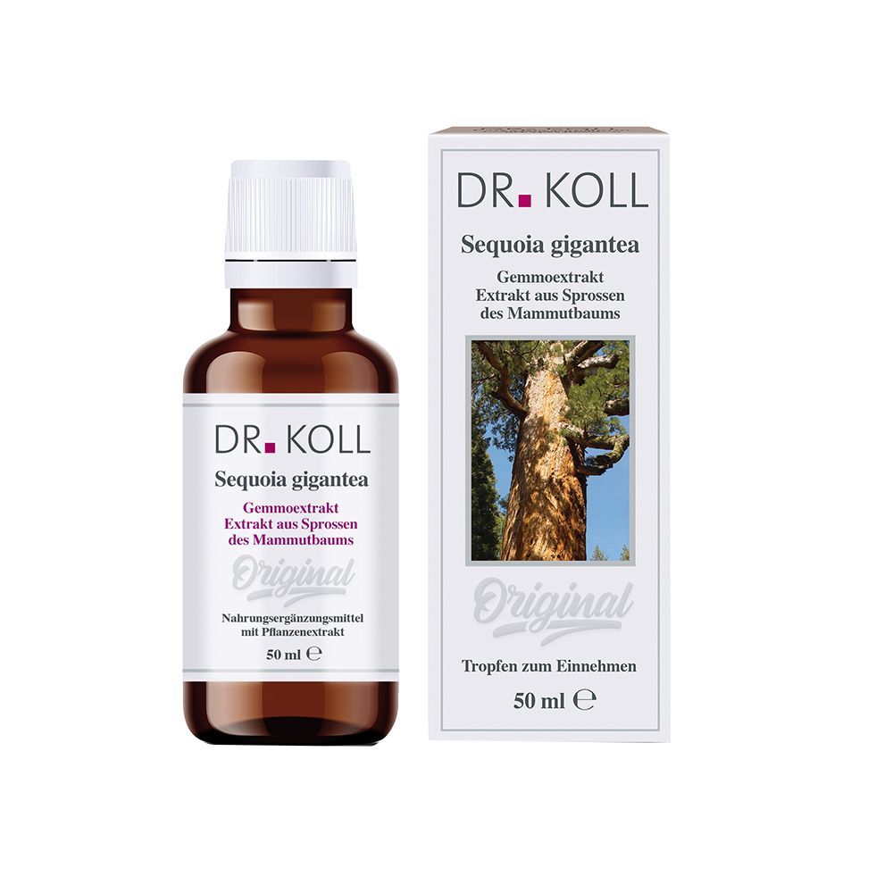 DR. KOLL Sequoia Gigantea Gemmoextrakt