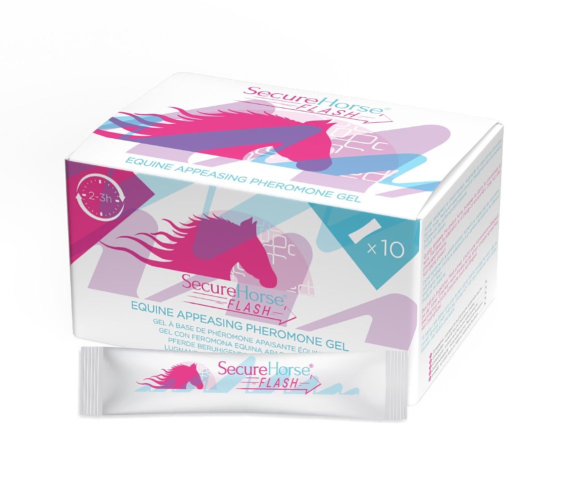 Verpackung von SecureHorse FLASH mit 10 Sticks. Rosa und blaue Grafik mit Pferde-Silhouette. Einzelner Stick vor der Verpackung.