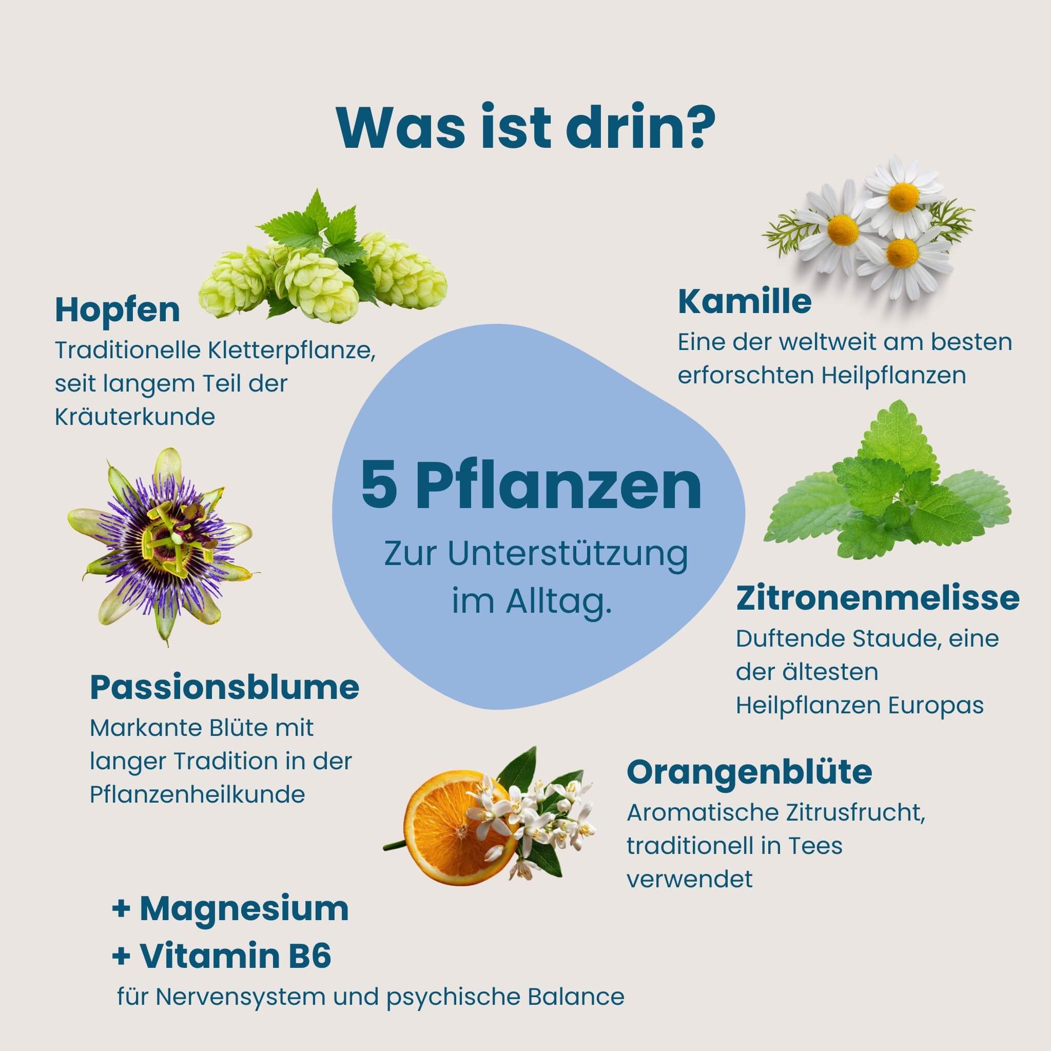 Fünf Pflanzenextrakte: Hopfen, Kamille, Passionsblume, Zitronenmelisse, Orangenblüte.