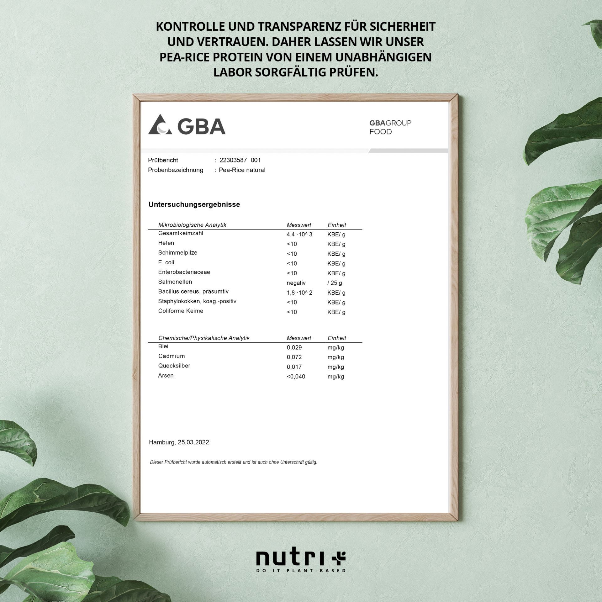 Nutri+ Lean Vhey Proteinpulver - liefert alle essentiellen Aminosäuren