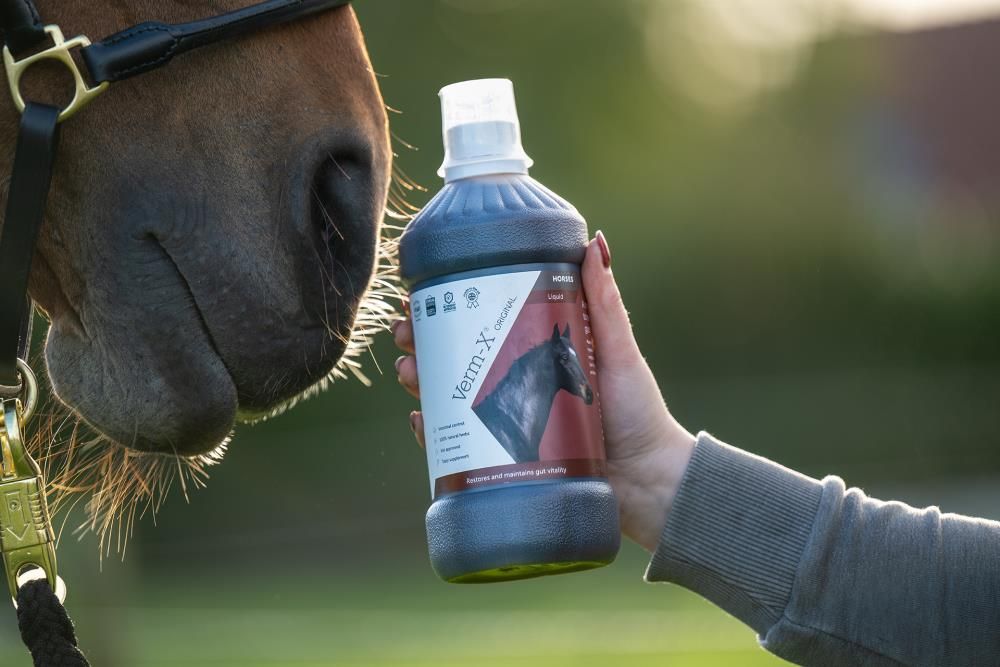 Person hält Flasche mit Etikett Verm-X. Pferd im Hintergrund. Flasche mit grünem Deckel.
