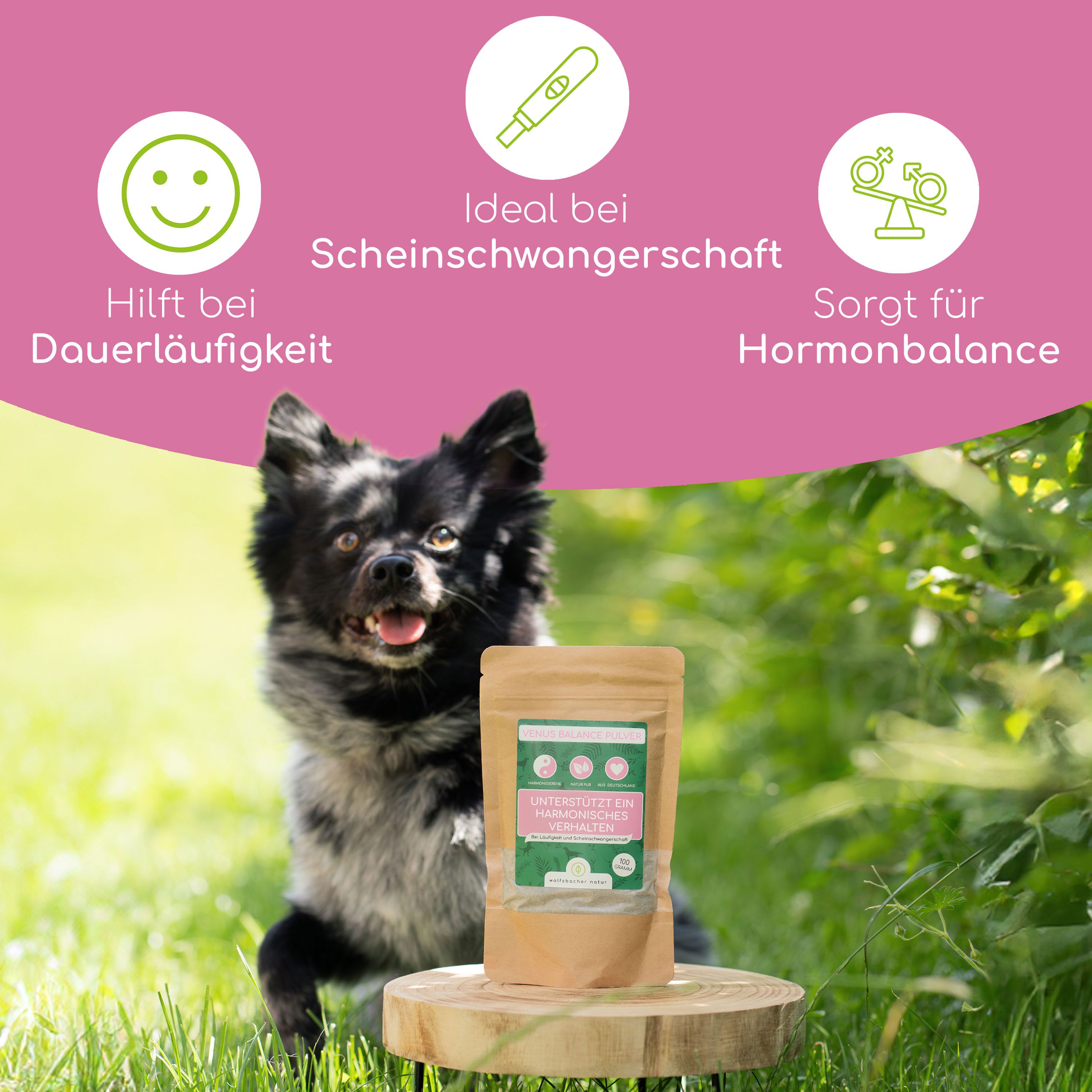 Hund vor Grün. Auf einem Podest steht ein Beutel mit Pulver. Text: Hilft bei Dauerläufigkeit, ideal bei Scheinträchtigkeit.