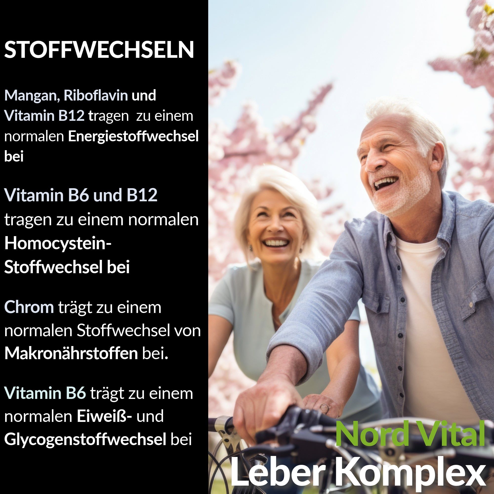 Nord Vital Leber Komplex – 15-in-1 Formel mit Mariendistel- & Artischocken-Extrakt | Made in Germany