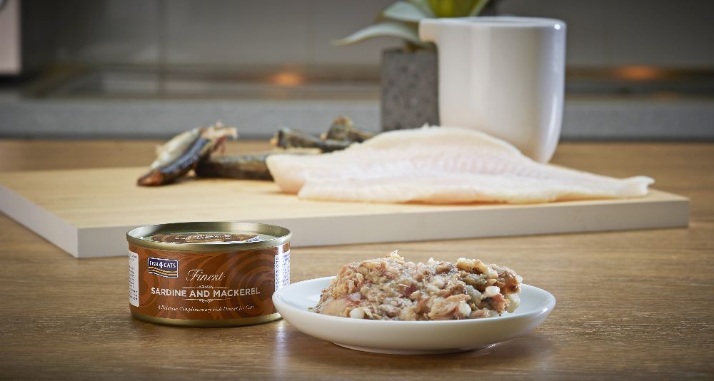 Fish4Cats Finest Sardine mit Makrele. Dose und Portion auf Teller. Fischfilet und Fischgräten auf Holzbrett. Küche im Hintergrund.