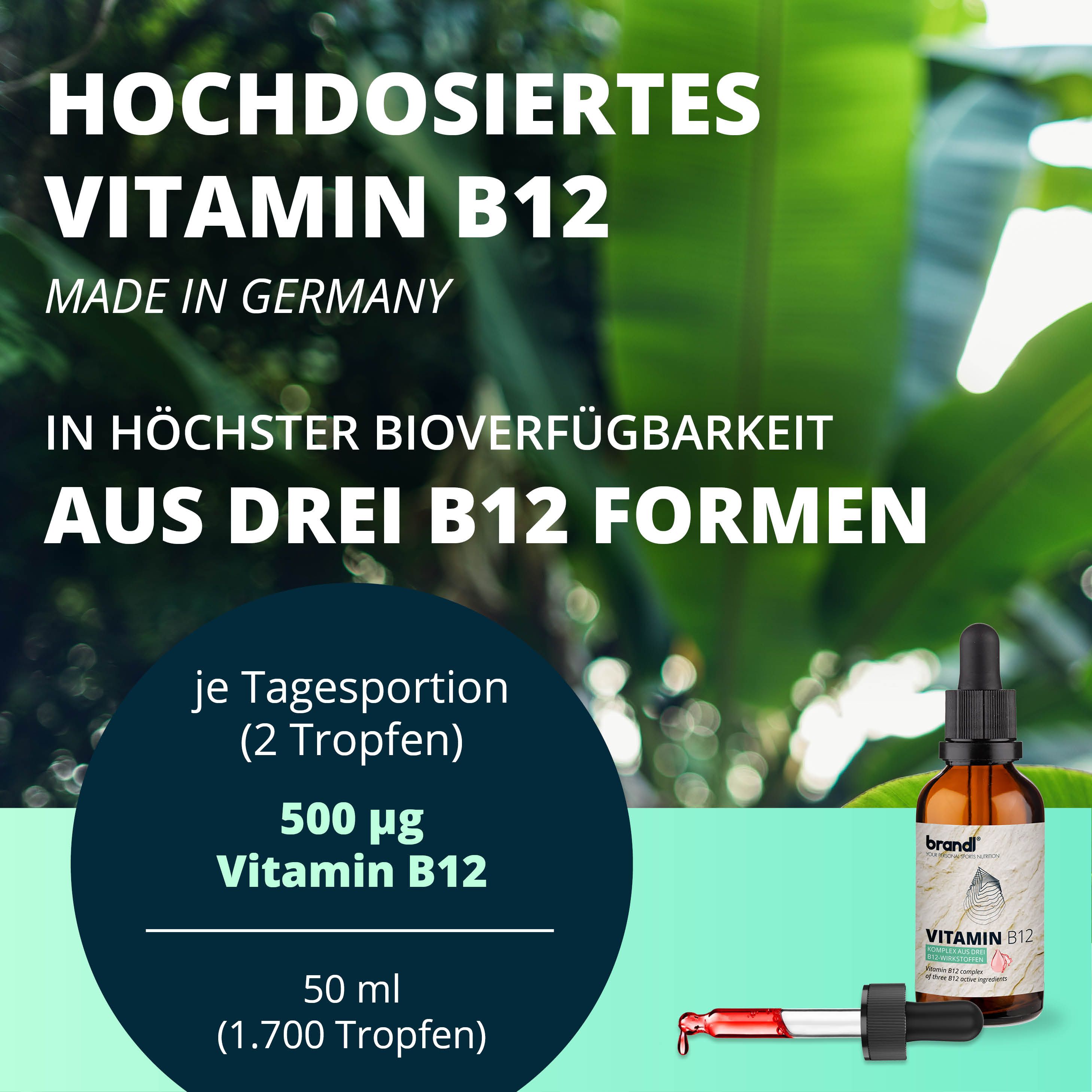 brandl® B12 Vitamin Tropfen aus 3 Aktivformen 100 ml Flüssigkeit