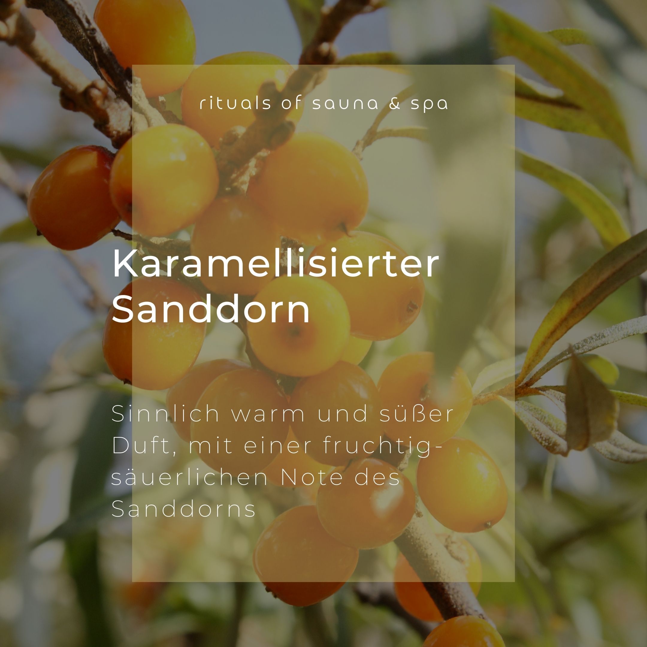 Wellow Sauna-Aufguss Karamellisierter Sanddorn