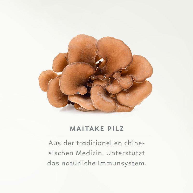 Haufen Maitake-Pilze auf weißem Hintergrund. Text: Maitake Pilz, unterstützt das natürliche Immunsystem.