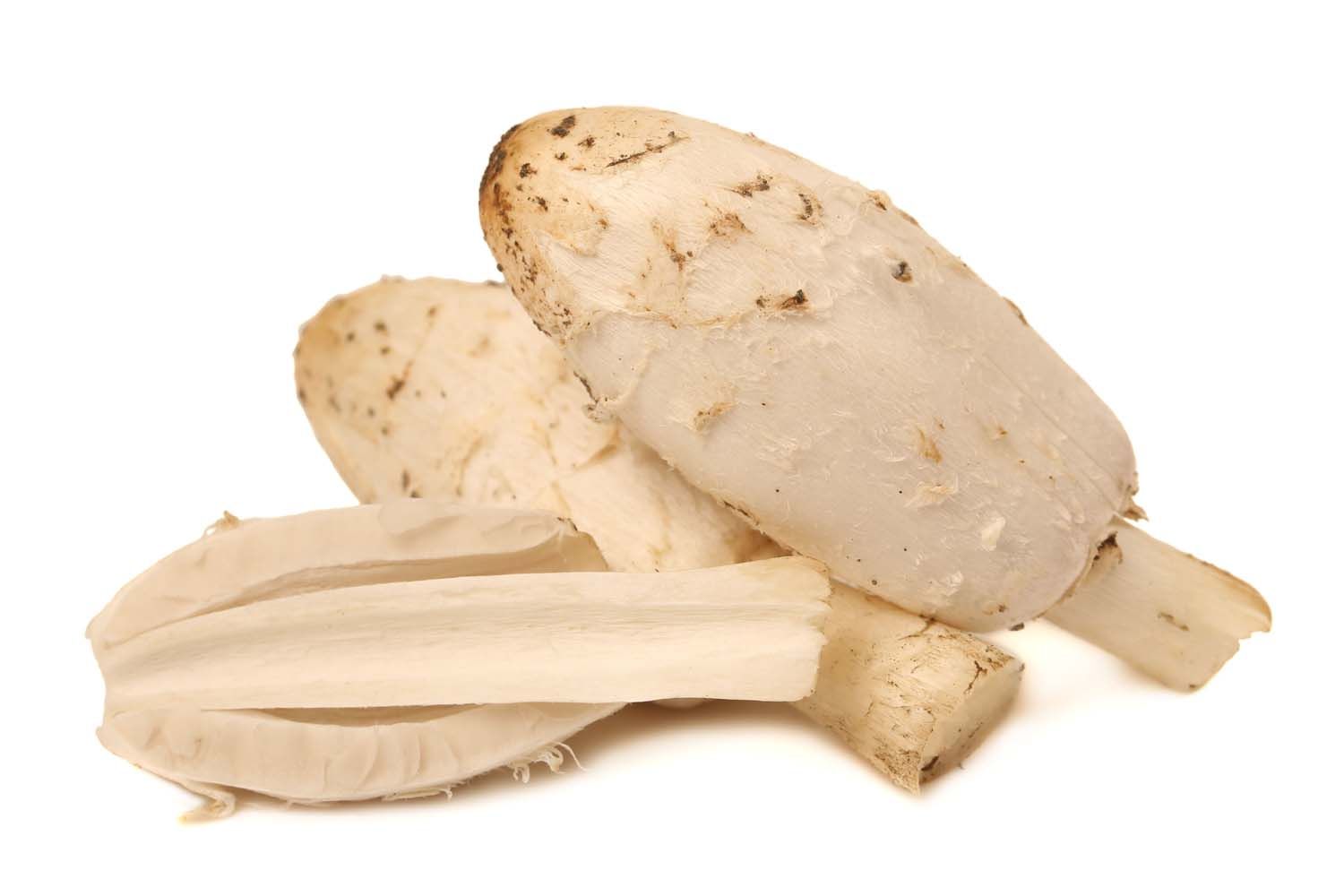 Mehrere weiße Pilze mit braunen Flecken. Einige Pilze sind in Scheiben geschnitten.