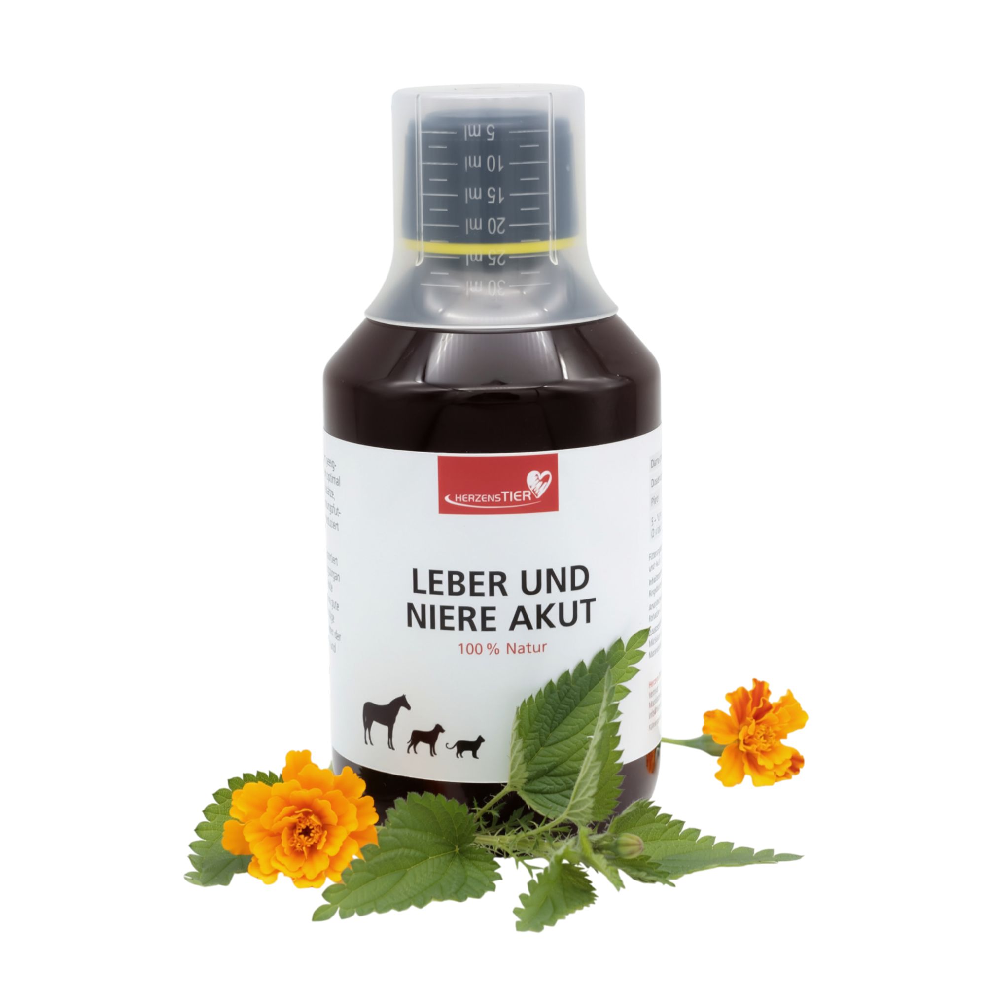 Flasche HerzensTier Leber und Niere akut. Braune Flüssigkeit, Messbecher, Kräuter und Blüten.